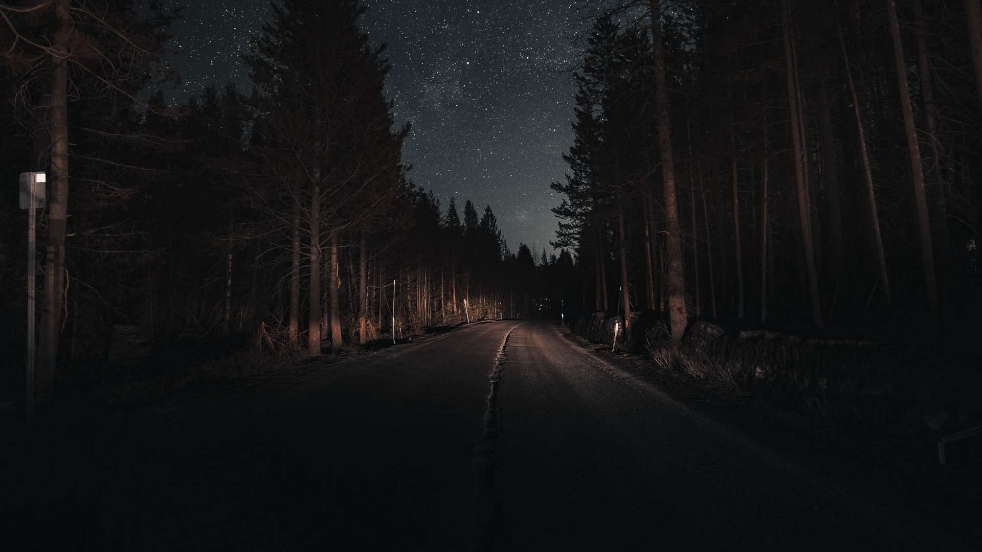 Road through a forest at night under stars HD Wallpaper