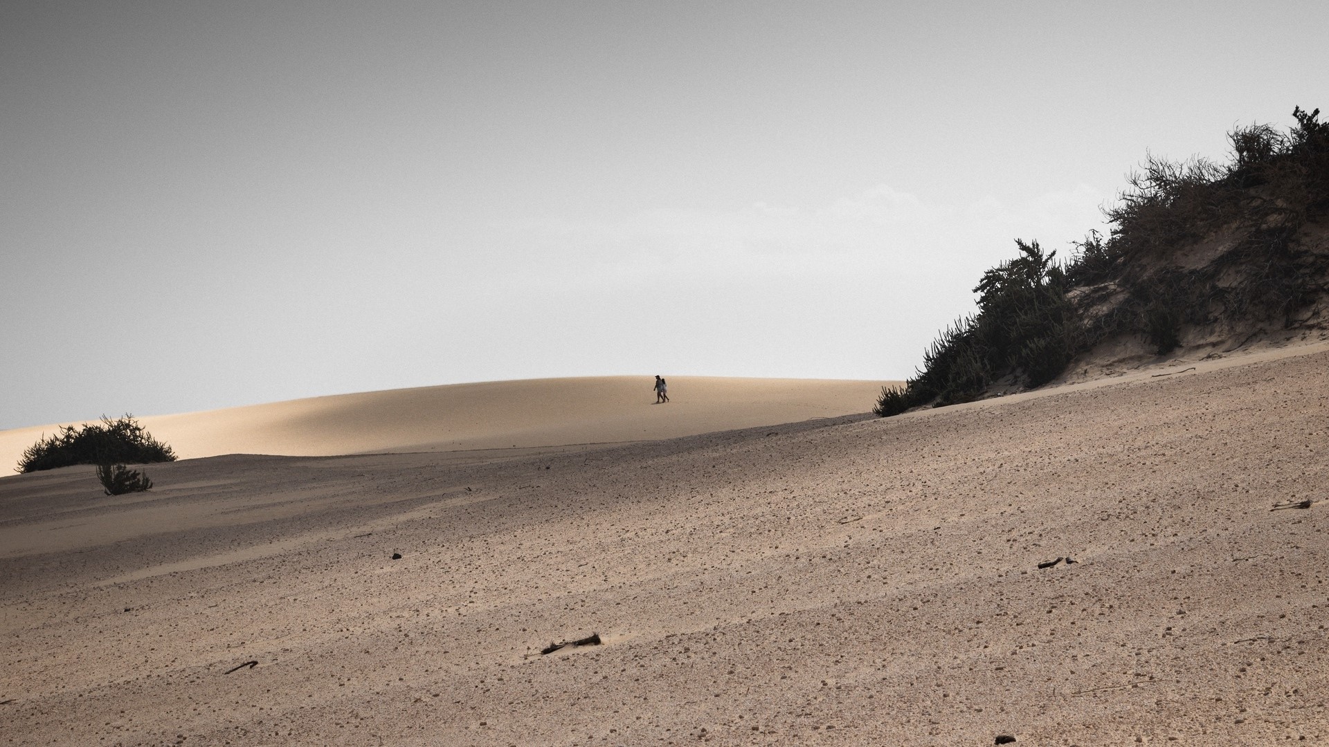 Two people walking on a sand dune HD Wallpaper