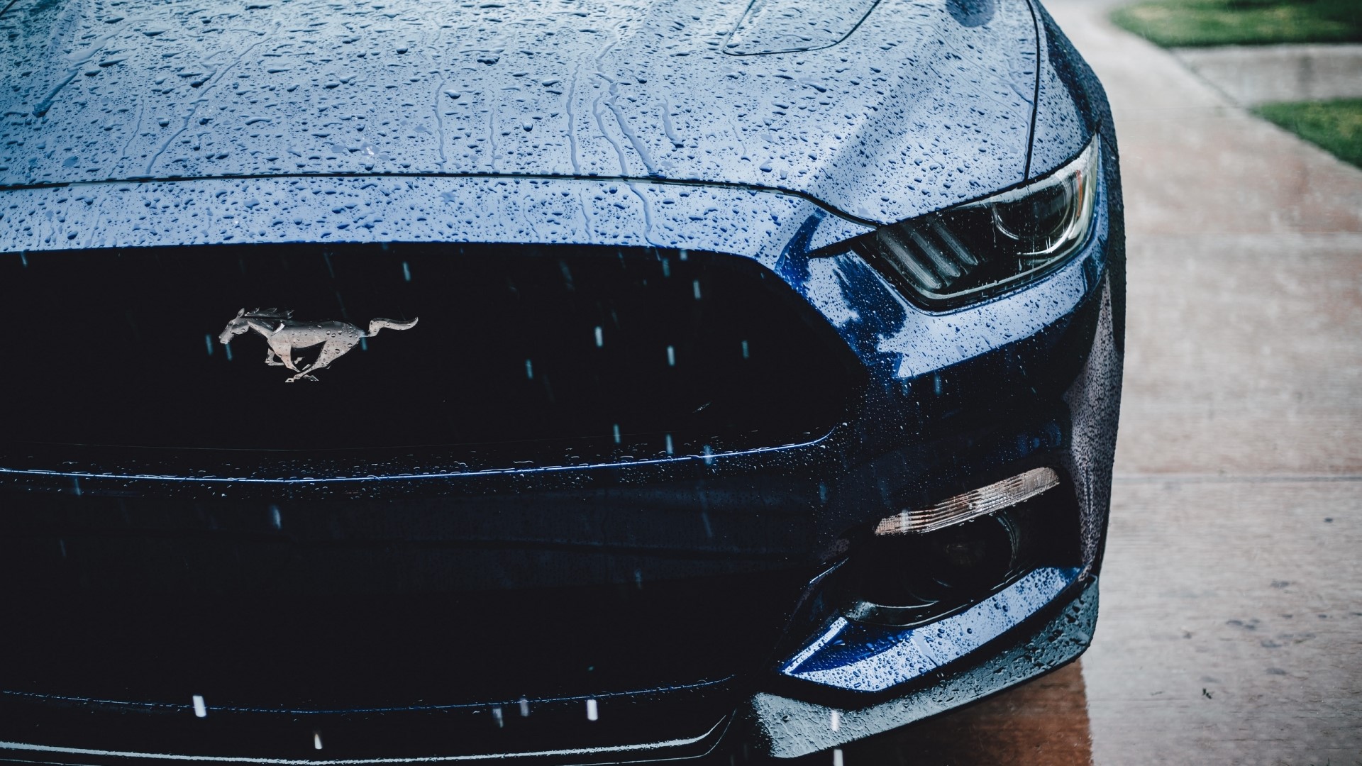 Ford Mustang with running horse emblem in the rain HD Wallpaper