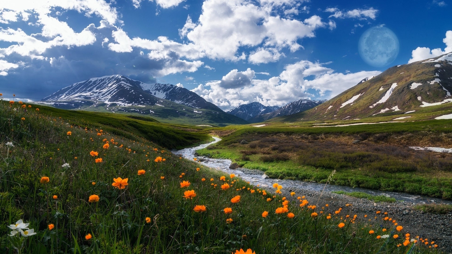 River flowing through a mountain valley with wildflowers HD Wallpaper