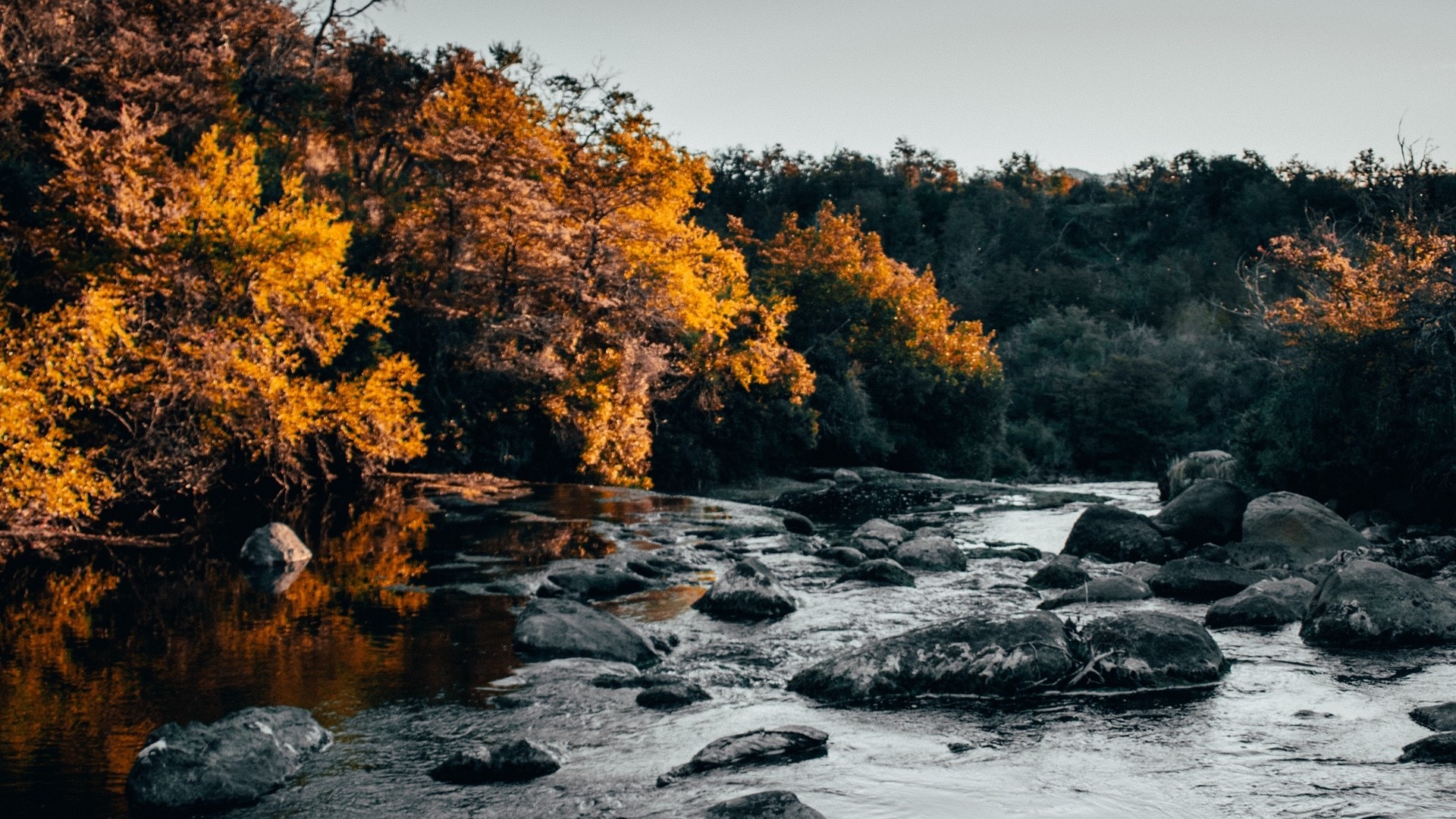 River flowing through rocks and autumn trees HD Wallpaper
