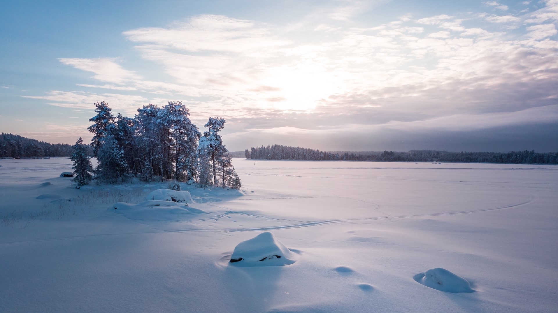 Snowy forest and frozen lake at sunset HD Wallpaper