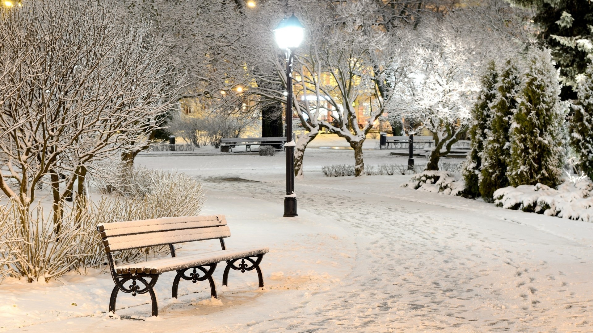 Snowy park at night with a bench and lamppost HD Wallpaper