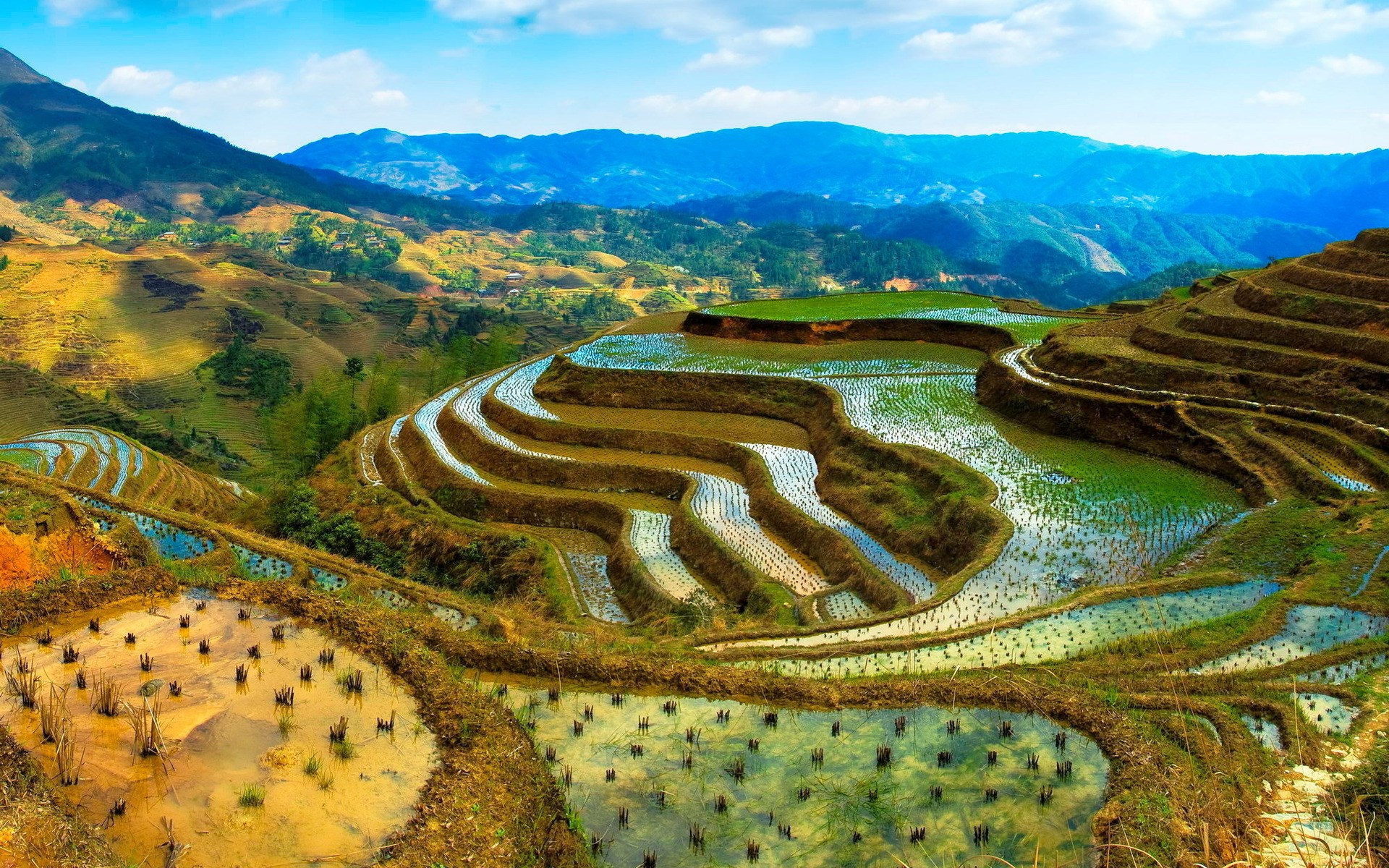 Terraced rice fields on a mountainside under a blue sky HD Wallpaper