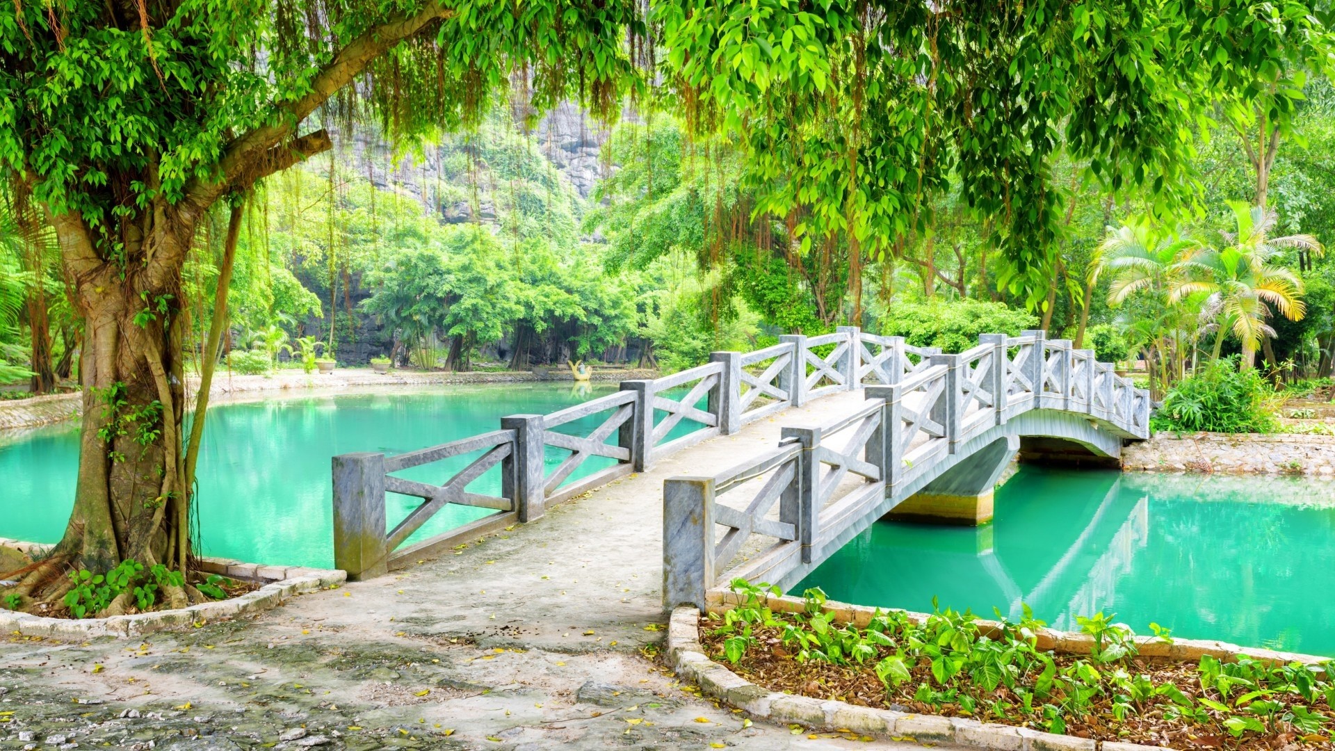 Bridge over a turquoise lake in a tropical park HD Wallpaper
