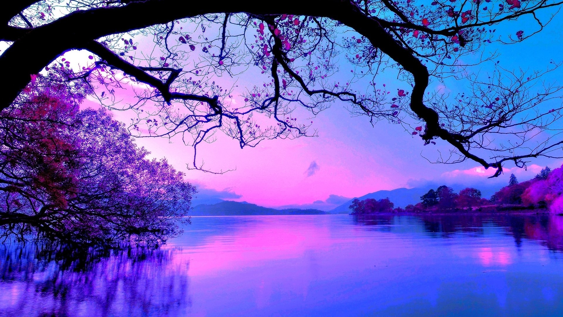 Pink and blue sky over a lake with trees HD Wallpaper