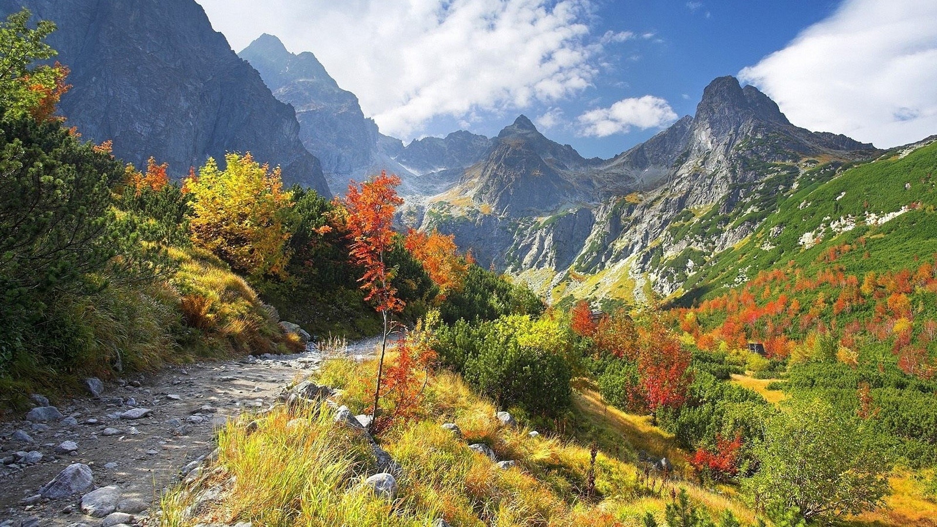 Autumn mountain valley with rocky path HD Wallpaper