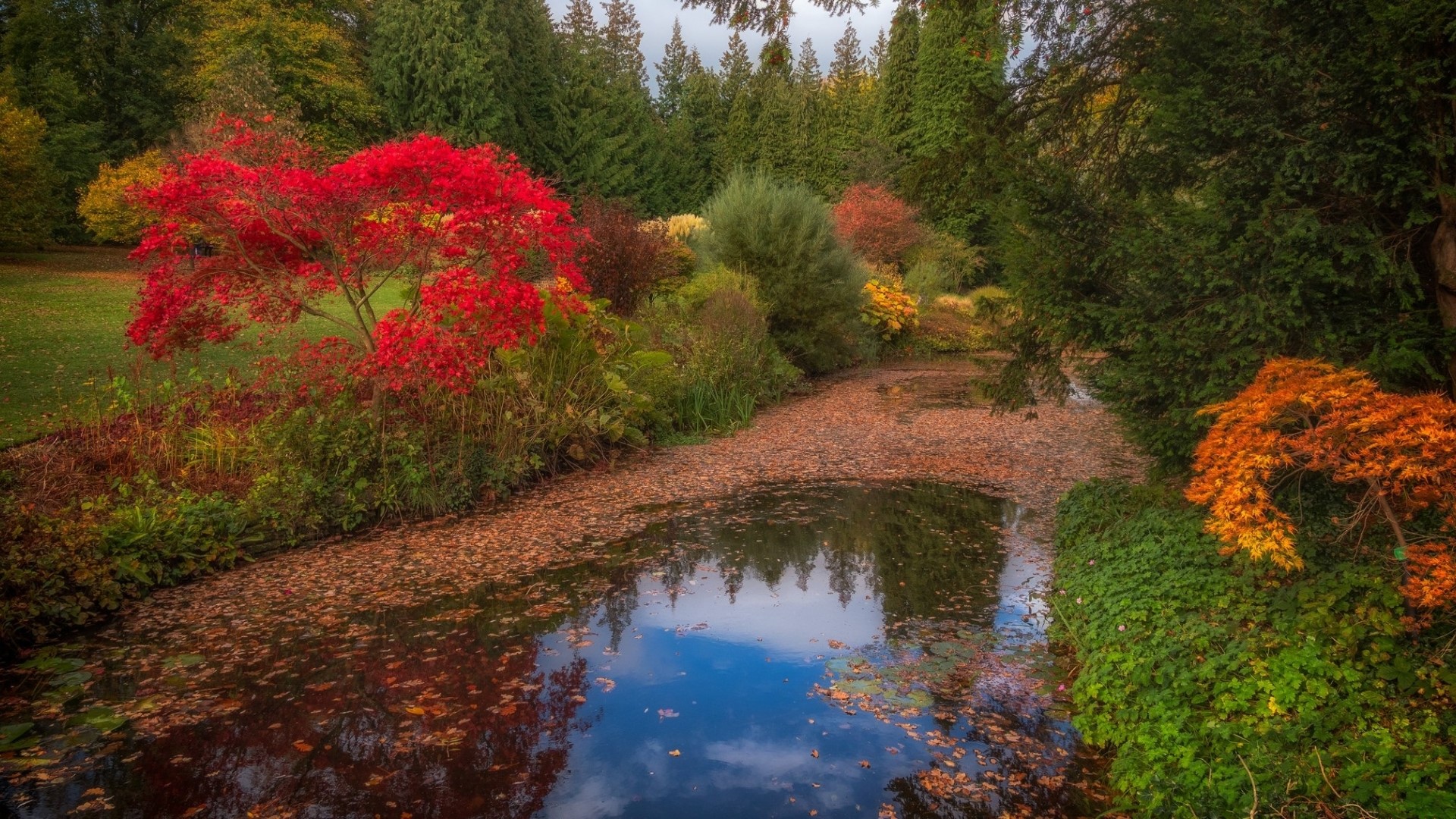 Autumn garden with a pond and colorful trees HD Wallpaper