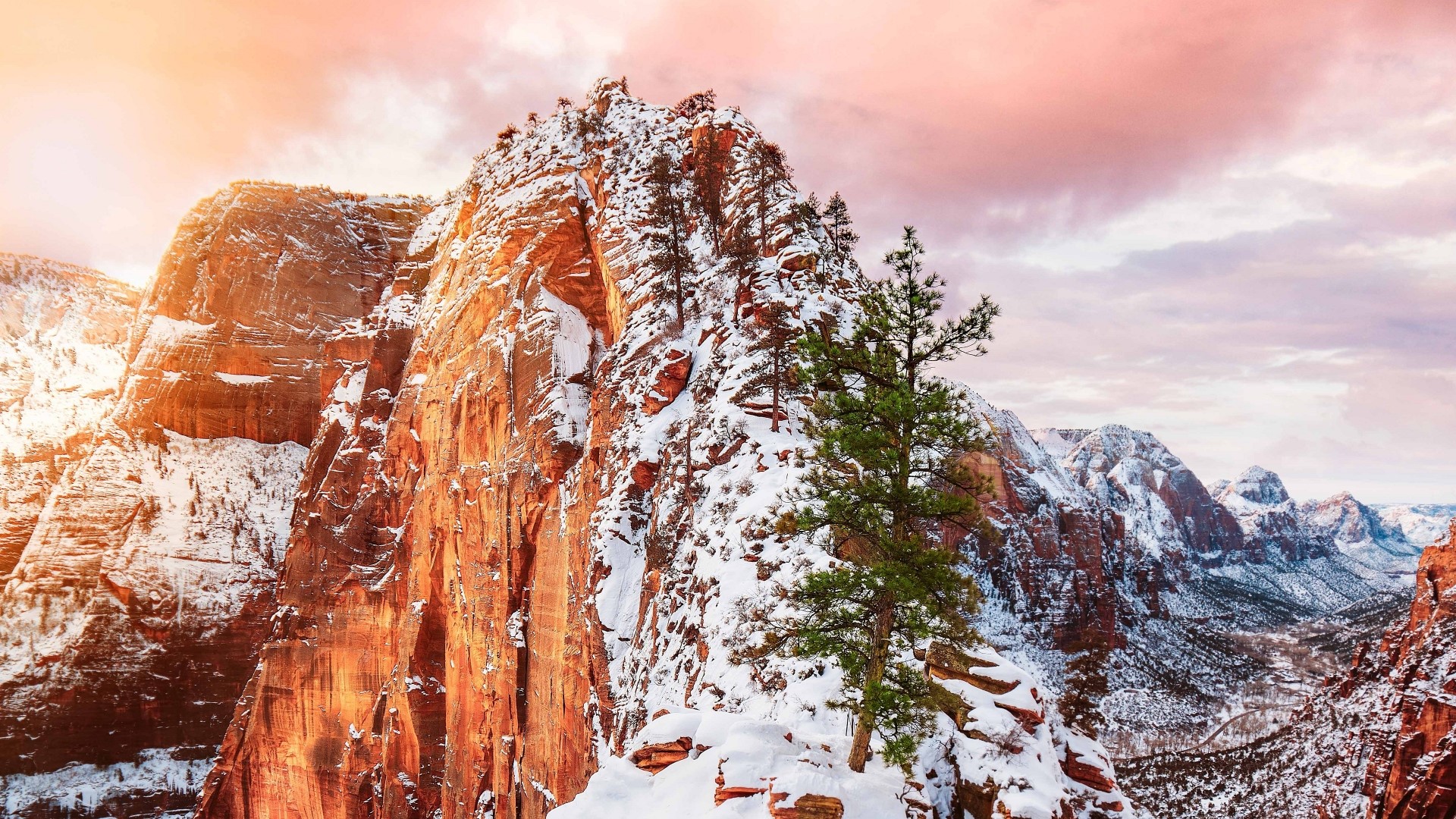 Snow-covered mountain with a lonely tree at sunset HD Wallpaper