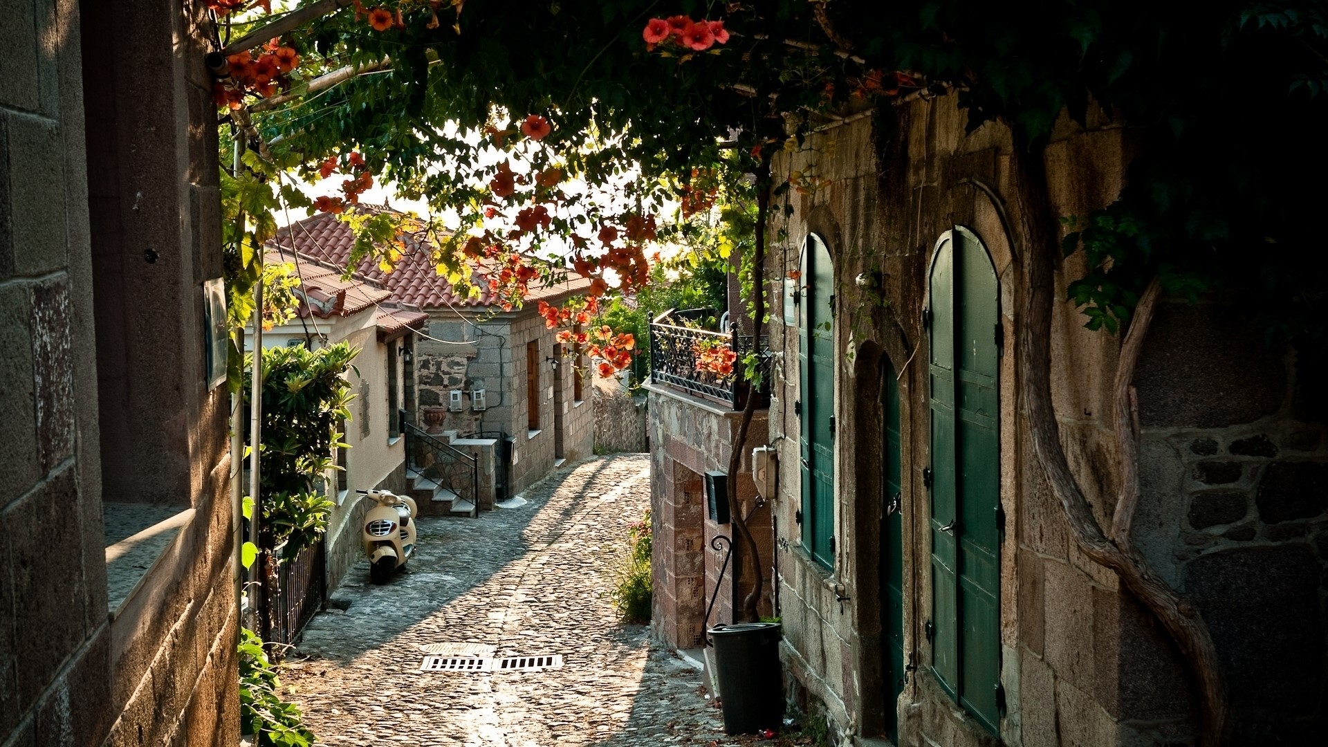 Cobblestone street with flowers and scooter HD Wallpaper