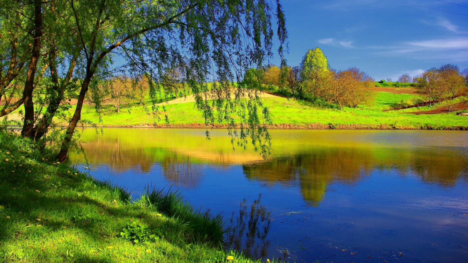 Beautiful lake with trees and green hills HD Wallpaper