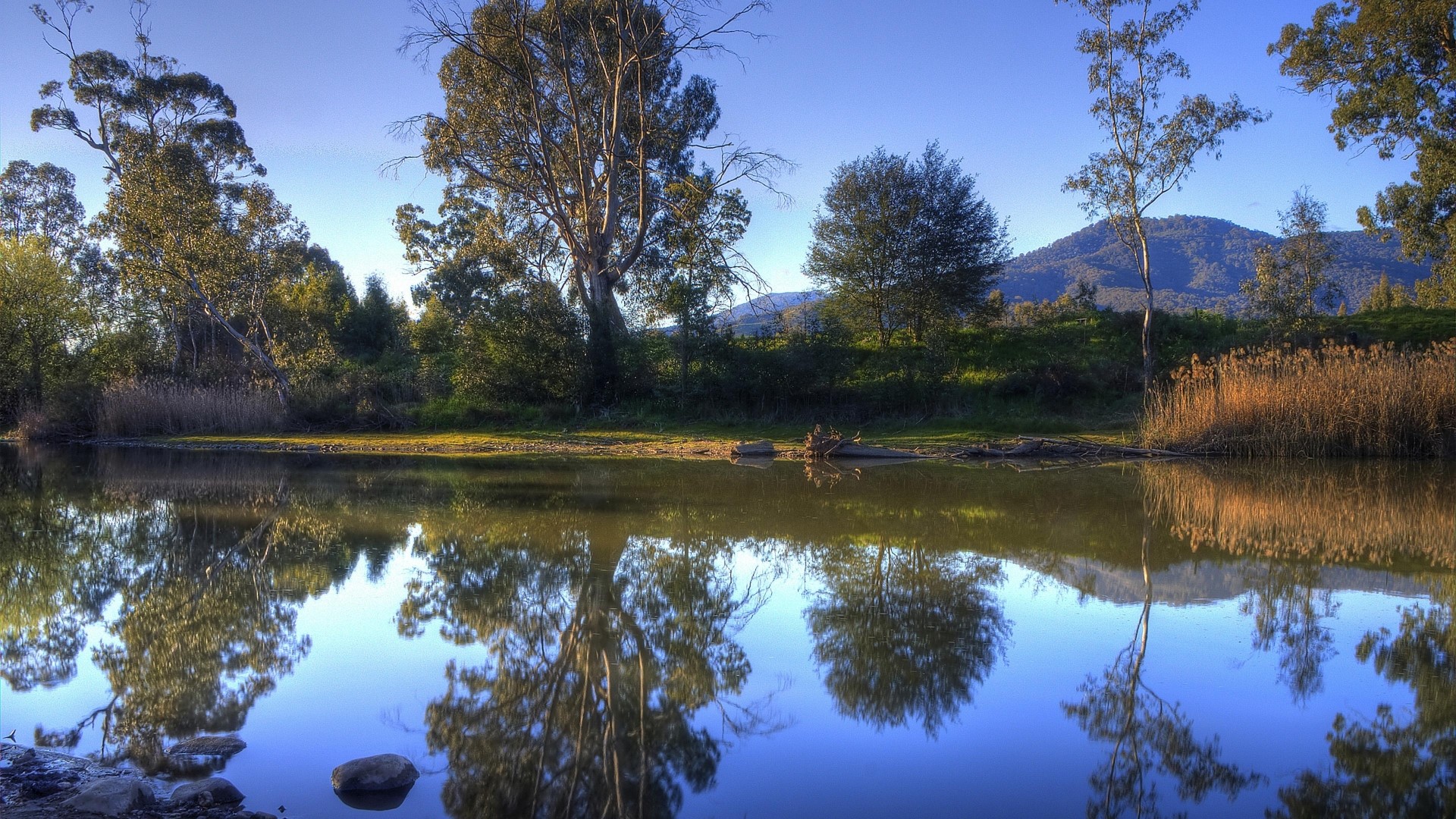 Blue river with trees and mountains HD Wallpaper