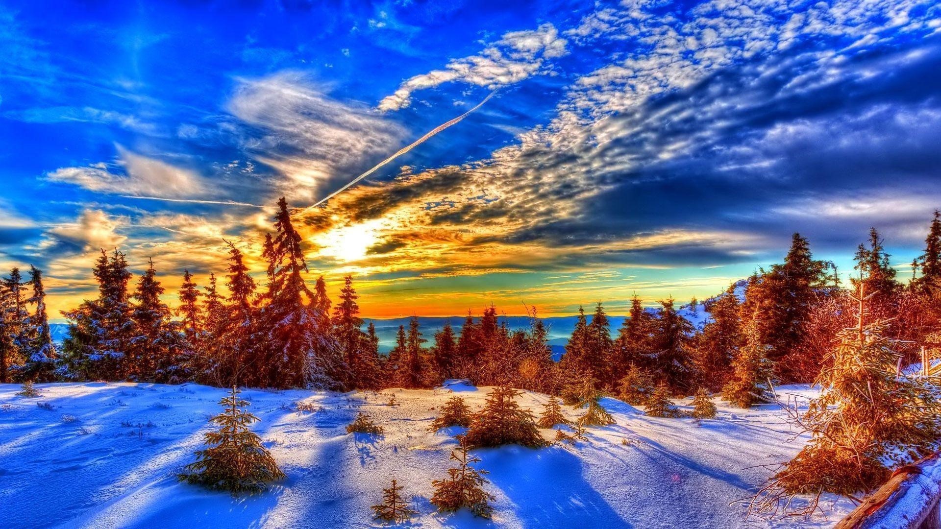 Winter forest landscape at sunset with snow HD Wallpaper