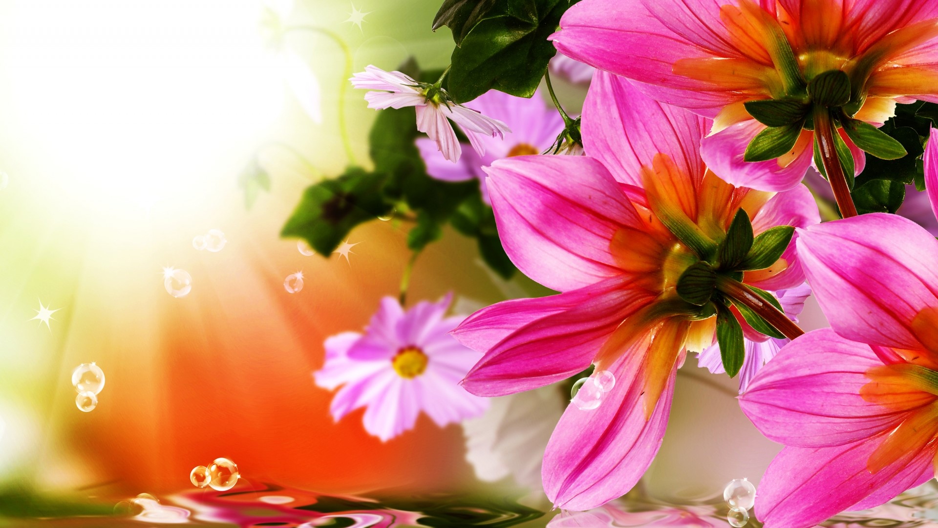 Pink and orange flowers reflected in water HD Wallpaper