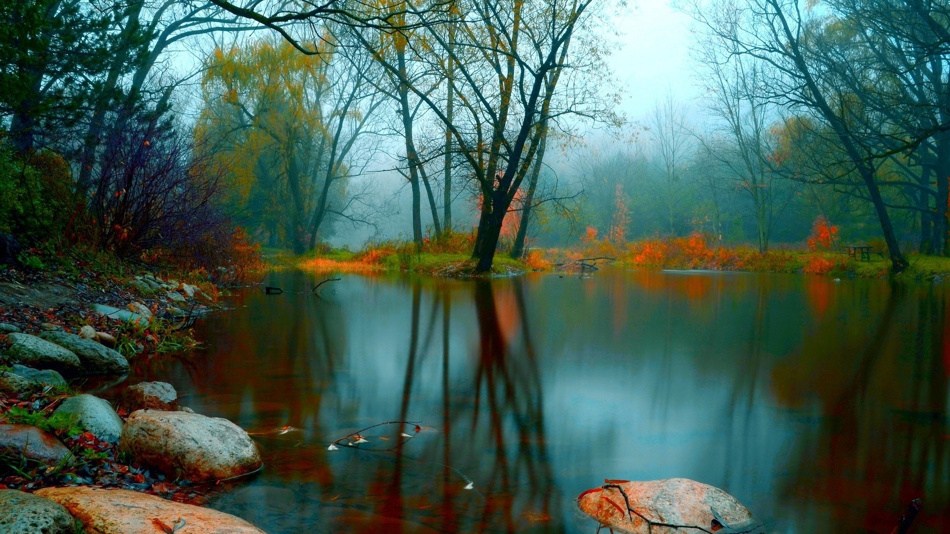 Misty lake with autumn trees and rocks HD Wallpaper