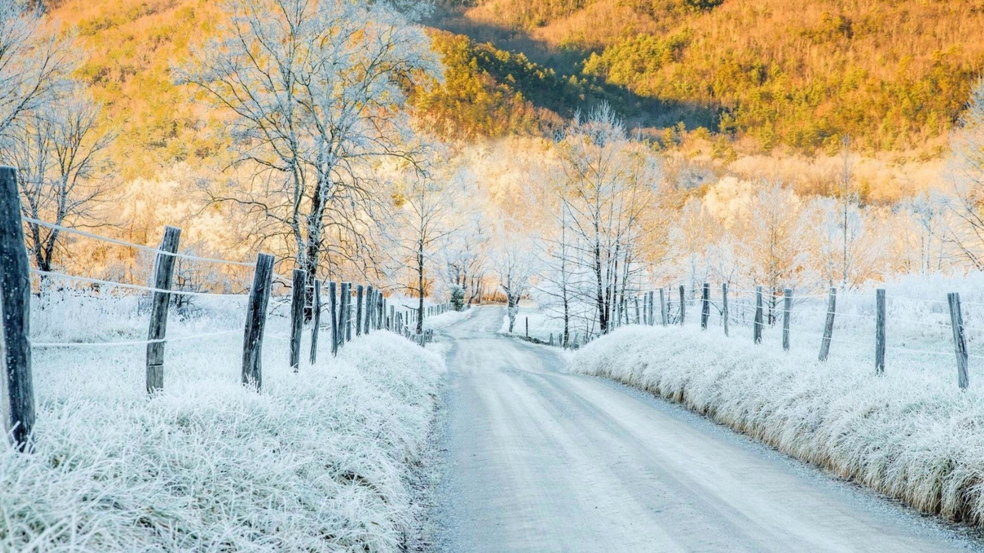 Winter frost meets autumn colors on a country road HD Wallpaper