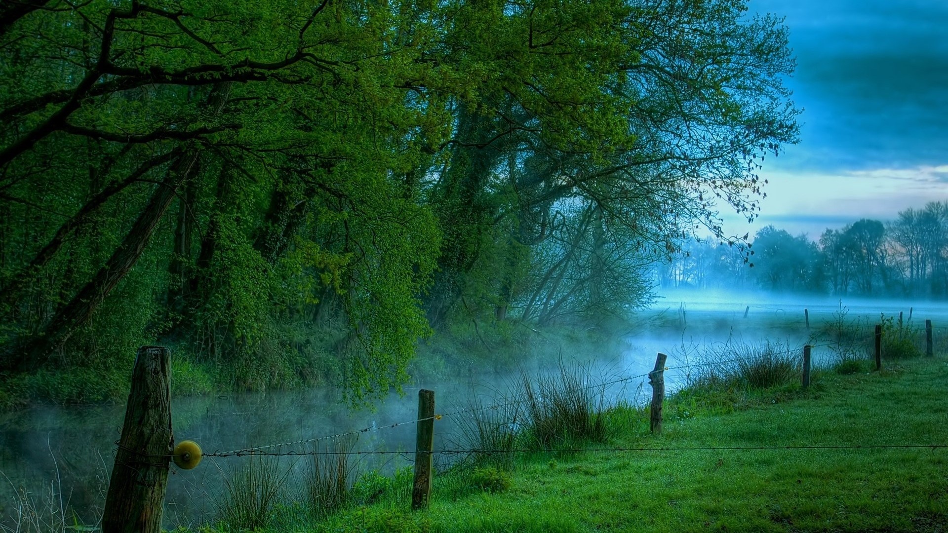 Foggy riverbank with trees and fence HD Wallpaper