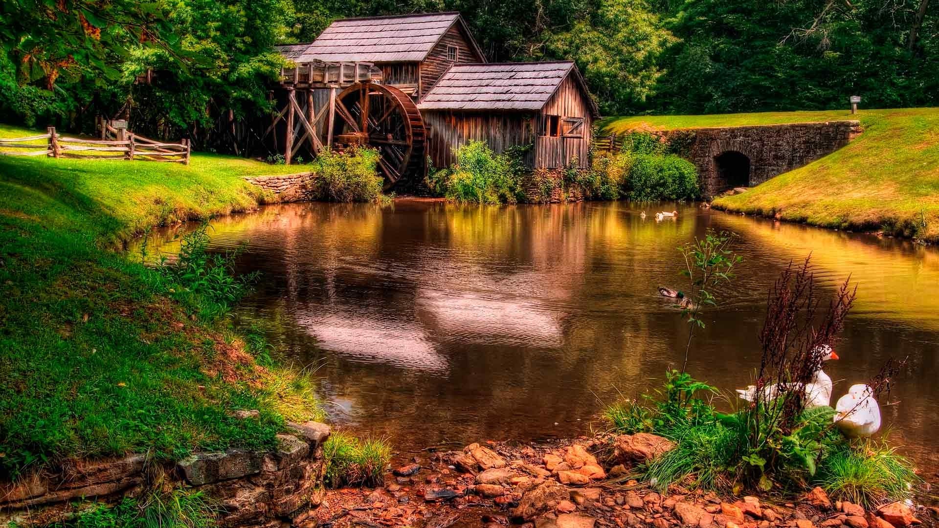 Old mill with water wheel by a pond HD Wallpaper