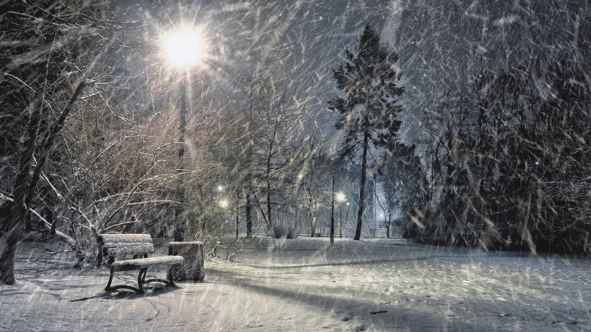 Winter park at night with snow HD Wallpaper