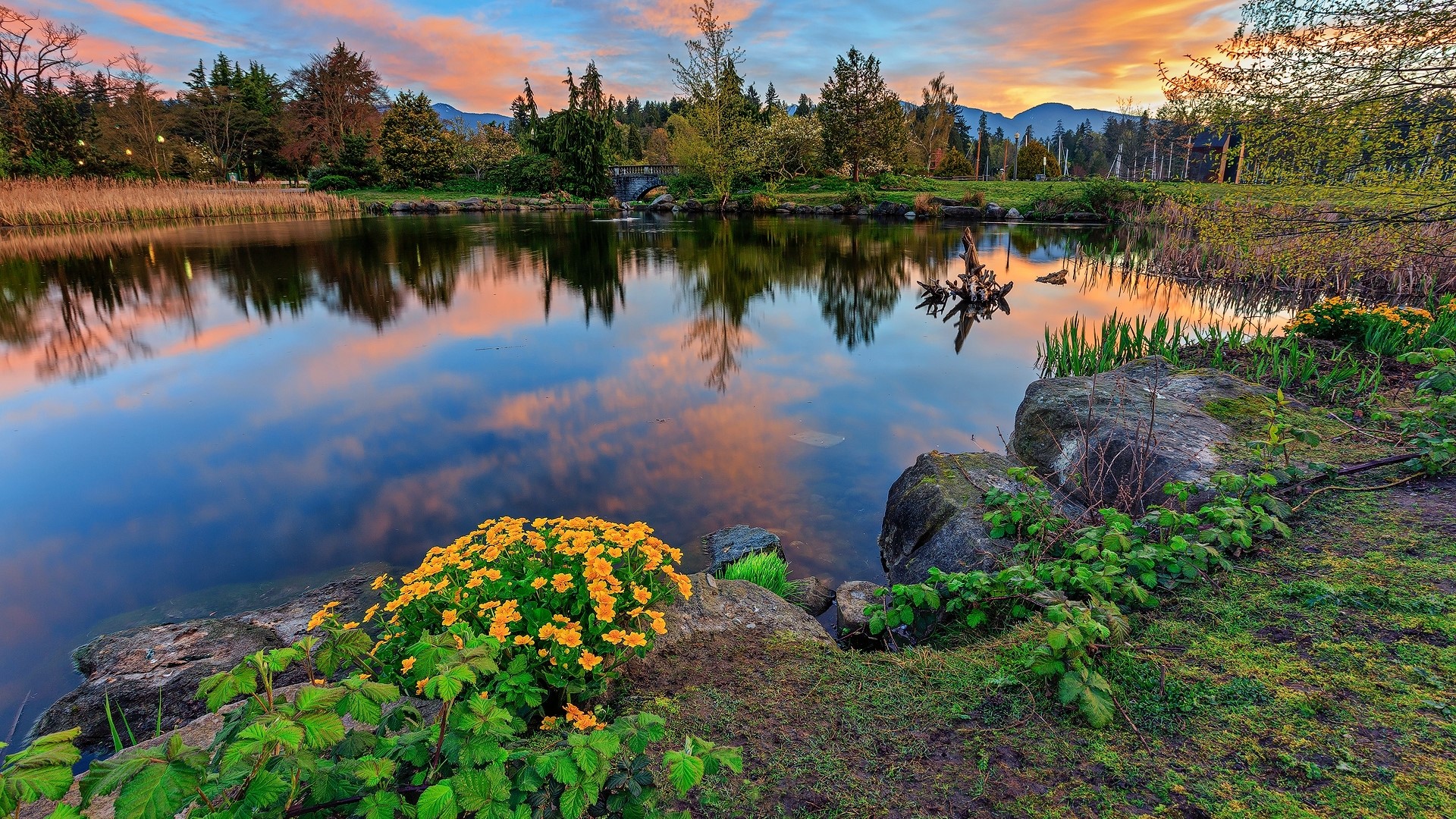 Stanley Park Pond at Sunset HD Wallpaper
