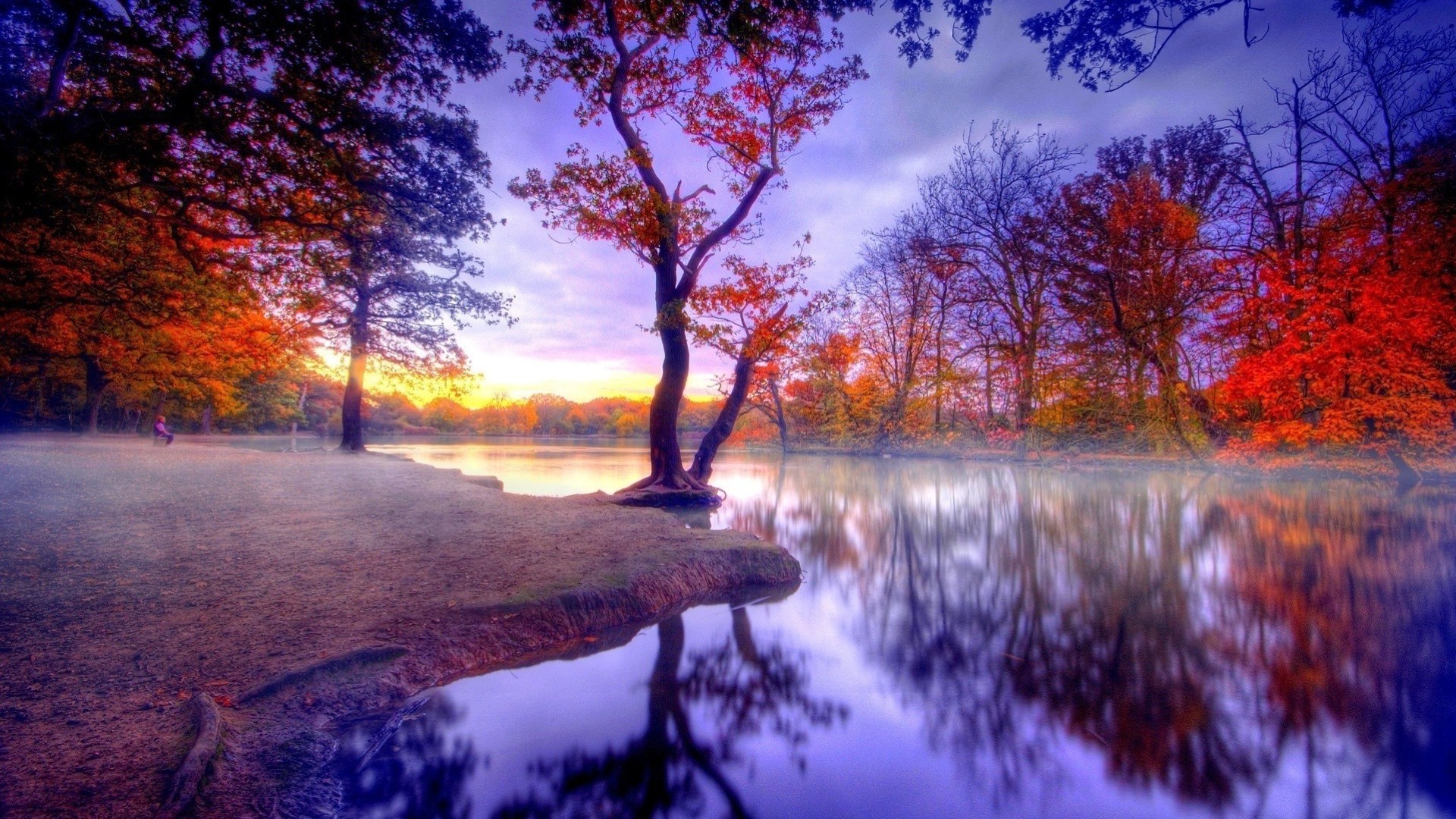 Autumn trees reflected in a blue lake at sunset HD Wallpaper