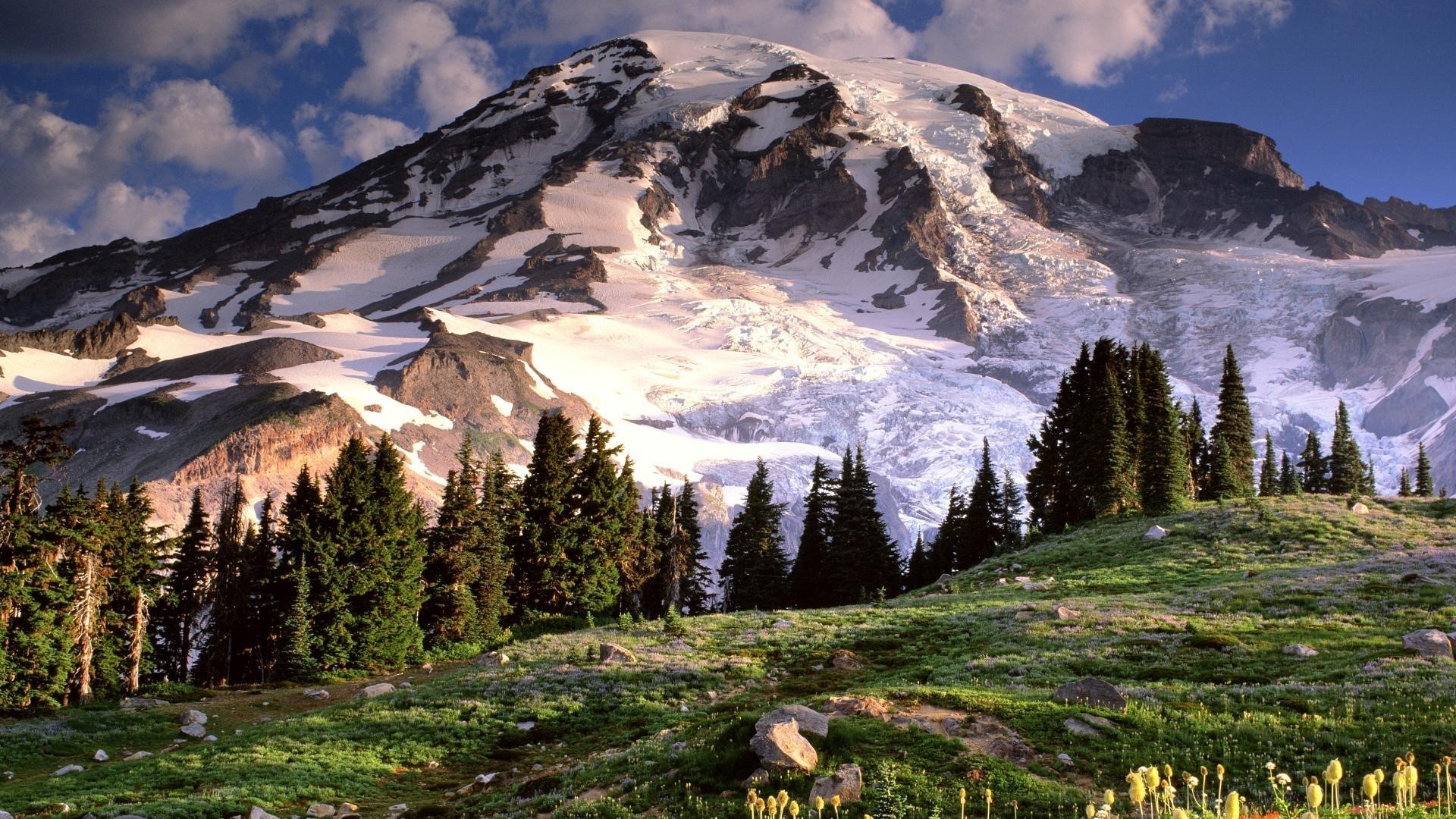 Snow-capped mountain with pine trees and meadow HD Wallpaper