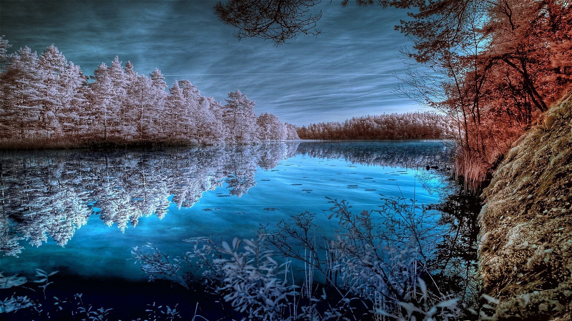Infrared winter lake landscape with trees HD Wallpaper