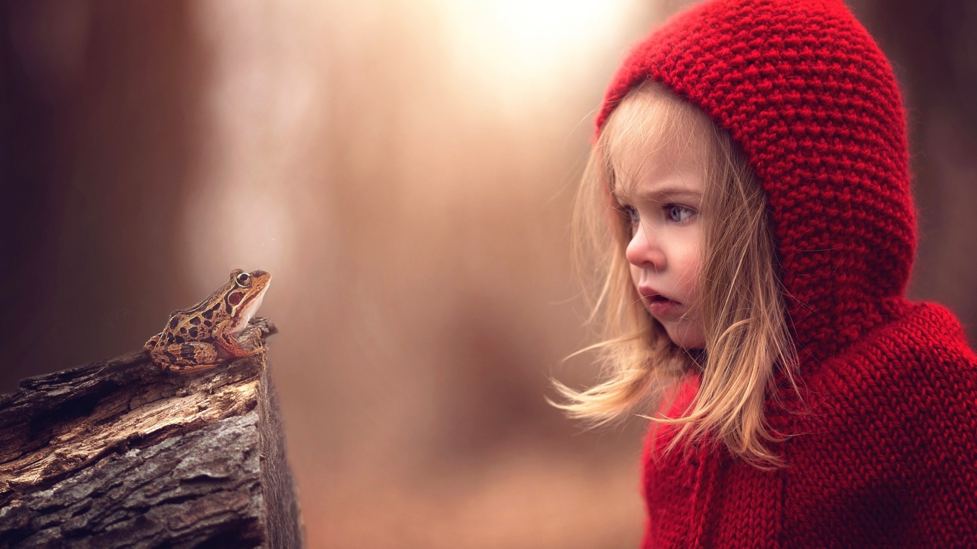 Girl in red hood meets a frog HD Wallpaper