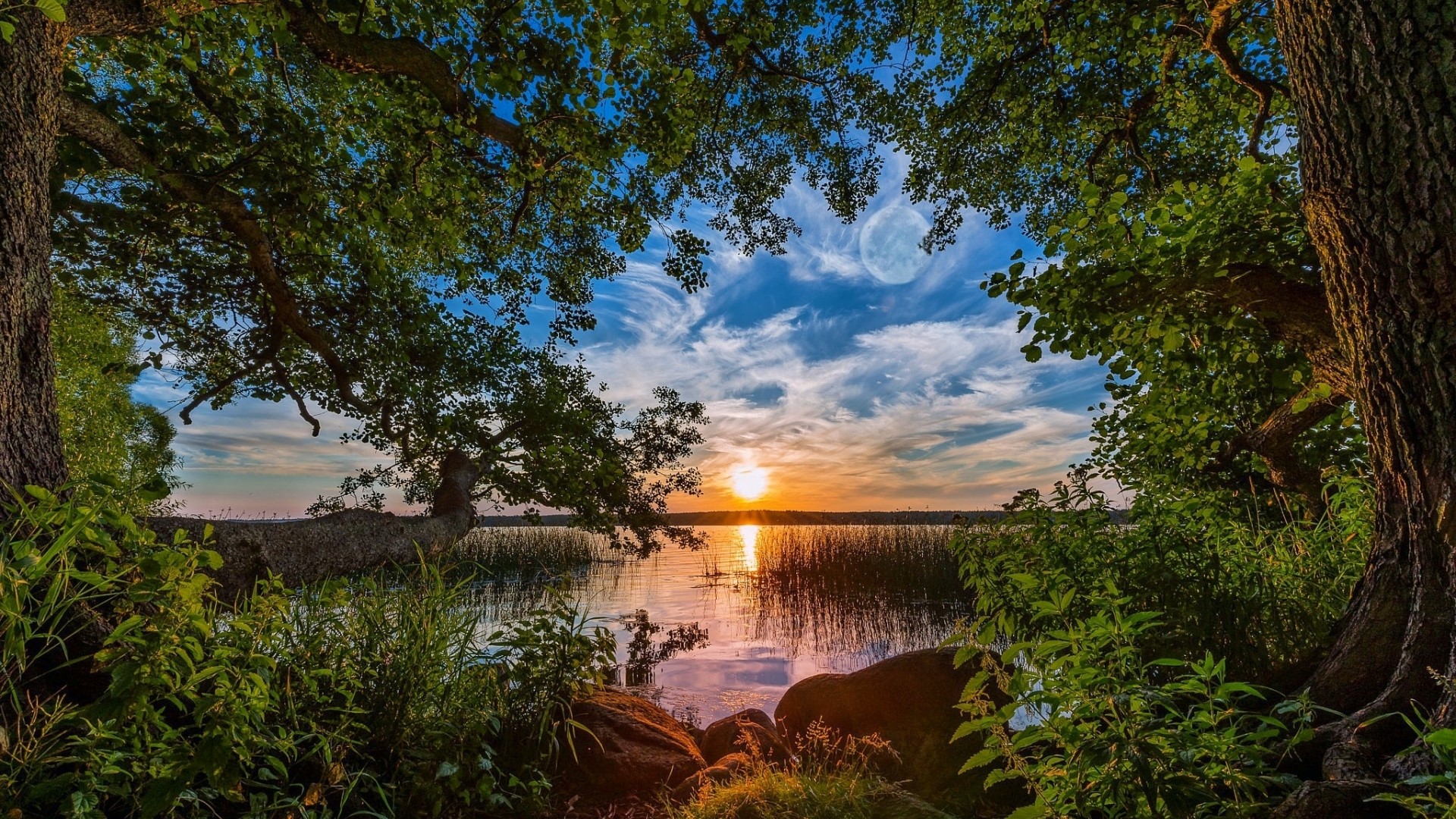 Sunset over a lake framed by trees HD Wallpaper