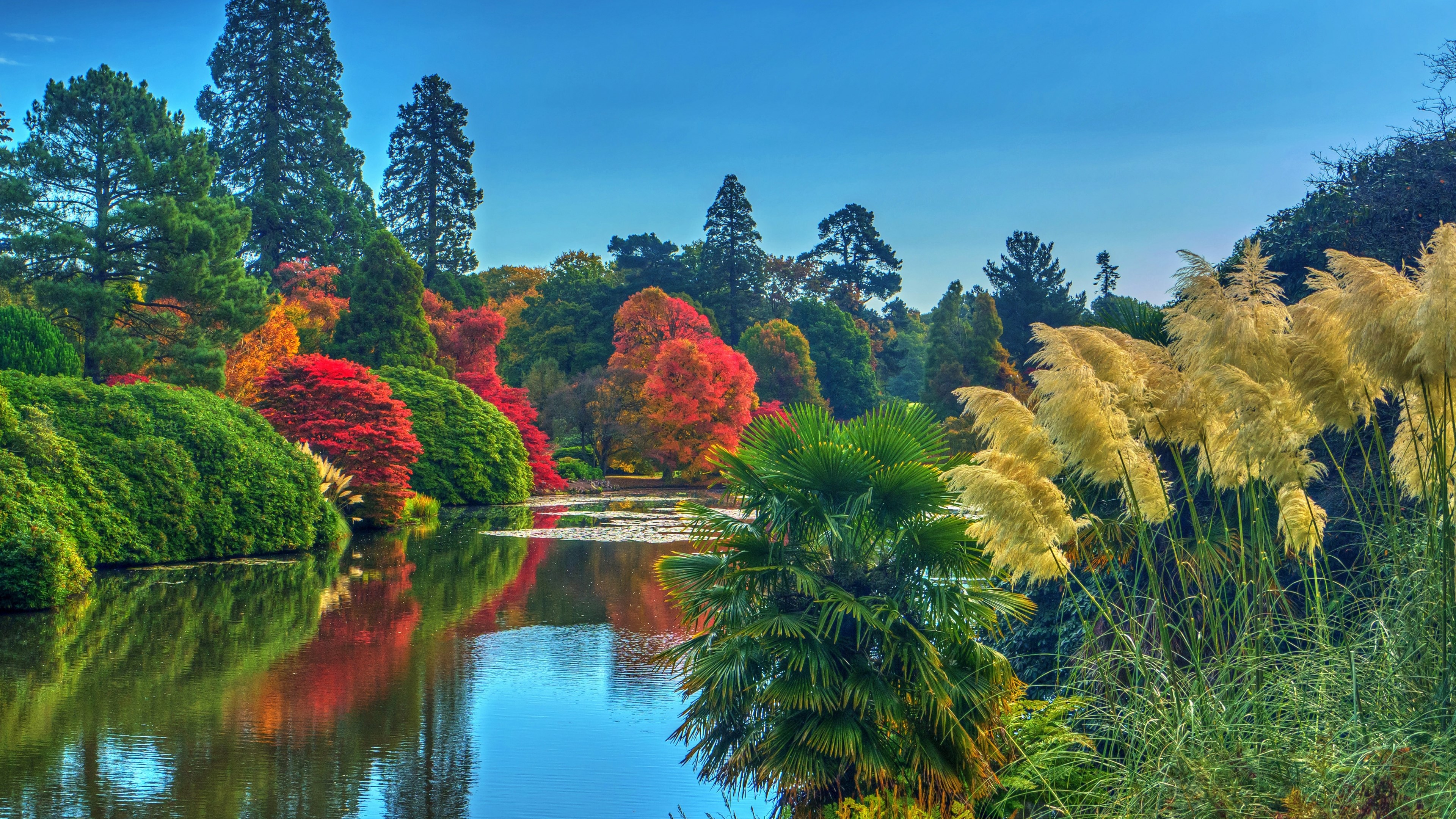 Autumn trees reflected in a lake in England HD Wallpaper