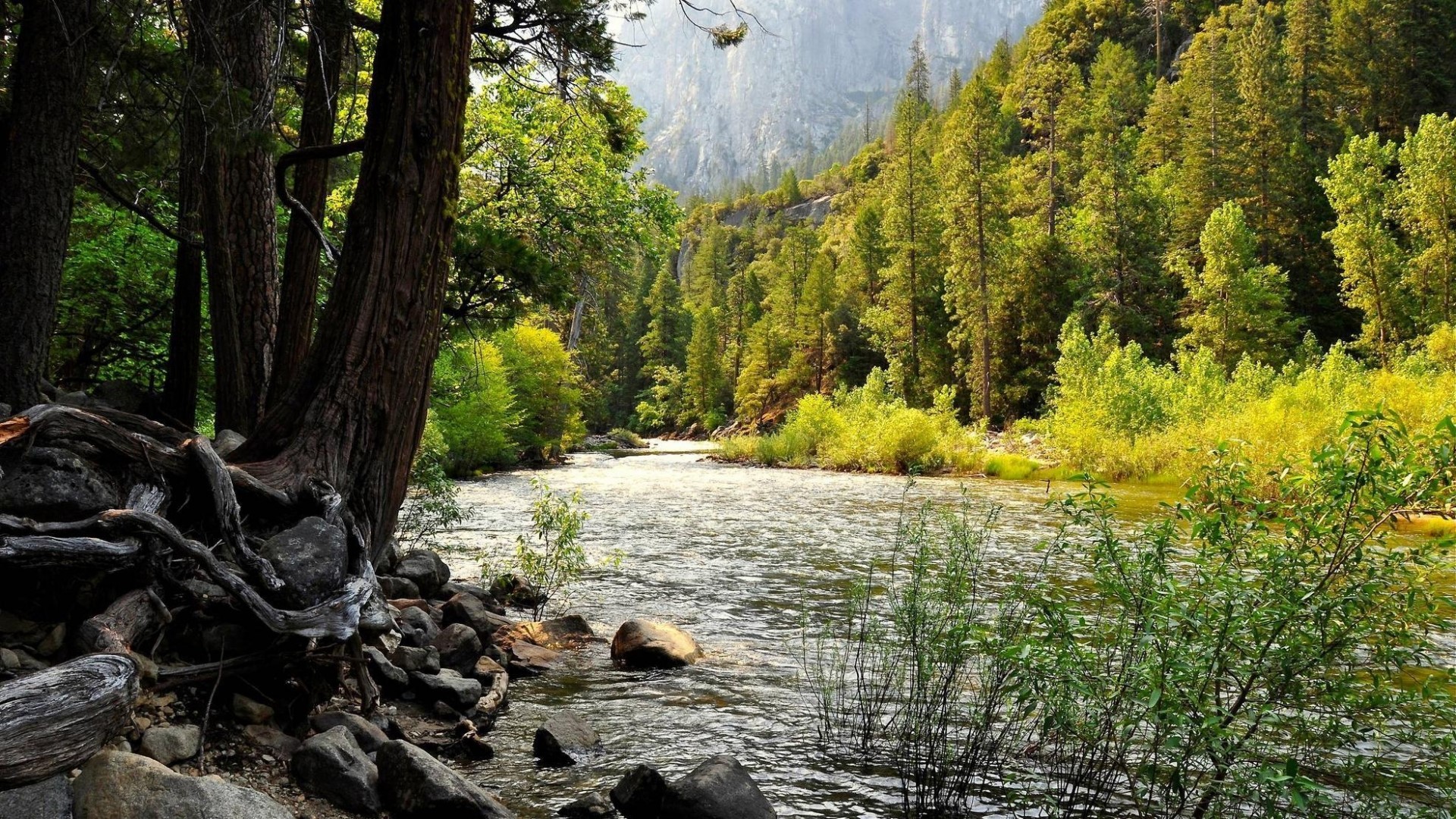 River flowing through a forest with mountains in the background HD Wallpaper