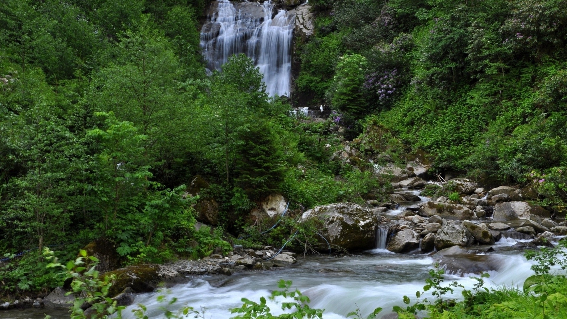 Waterfall flowing into a rocky river in a green forest HD Wallpaper