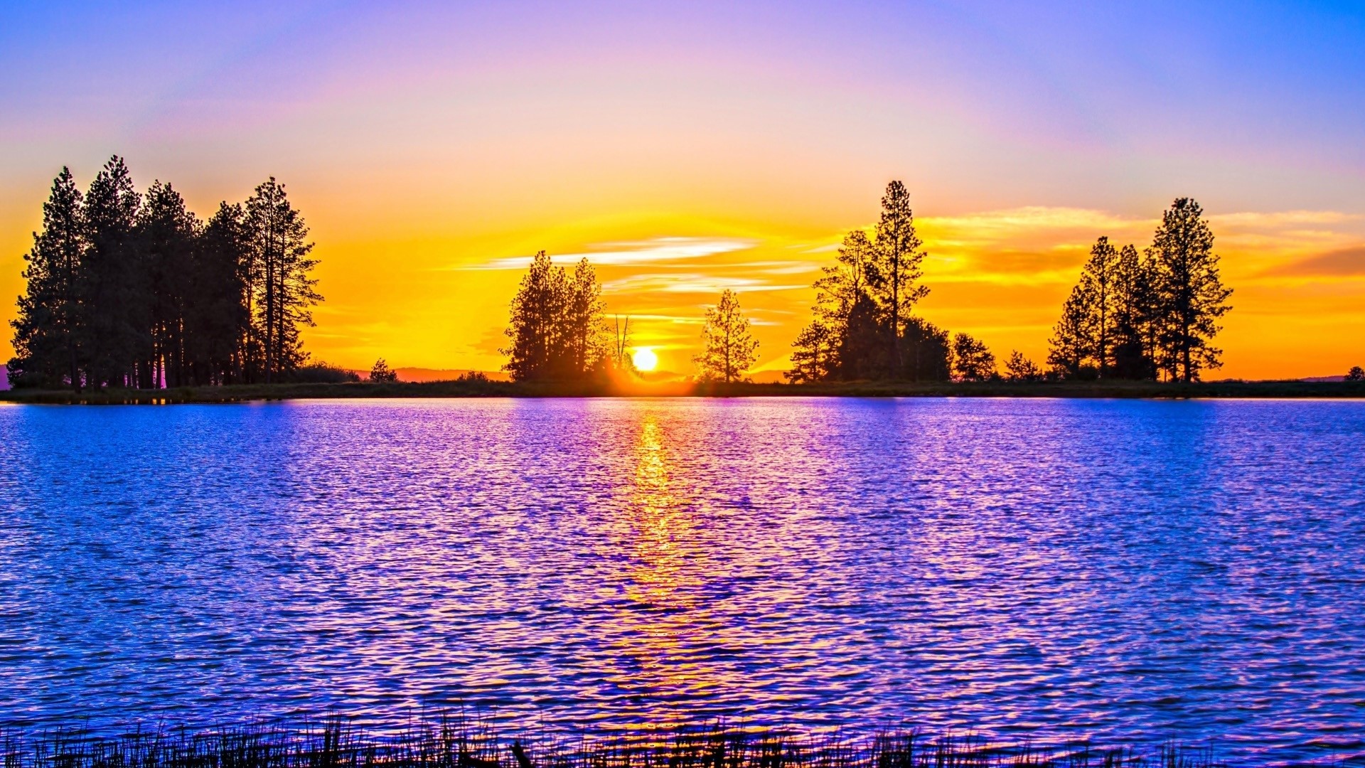 Sunset over a lake with trees HD Wallpaper