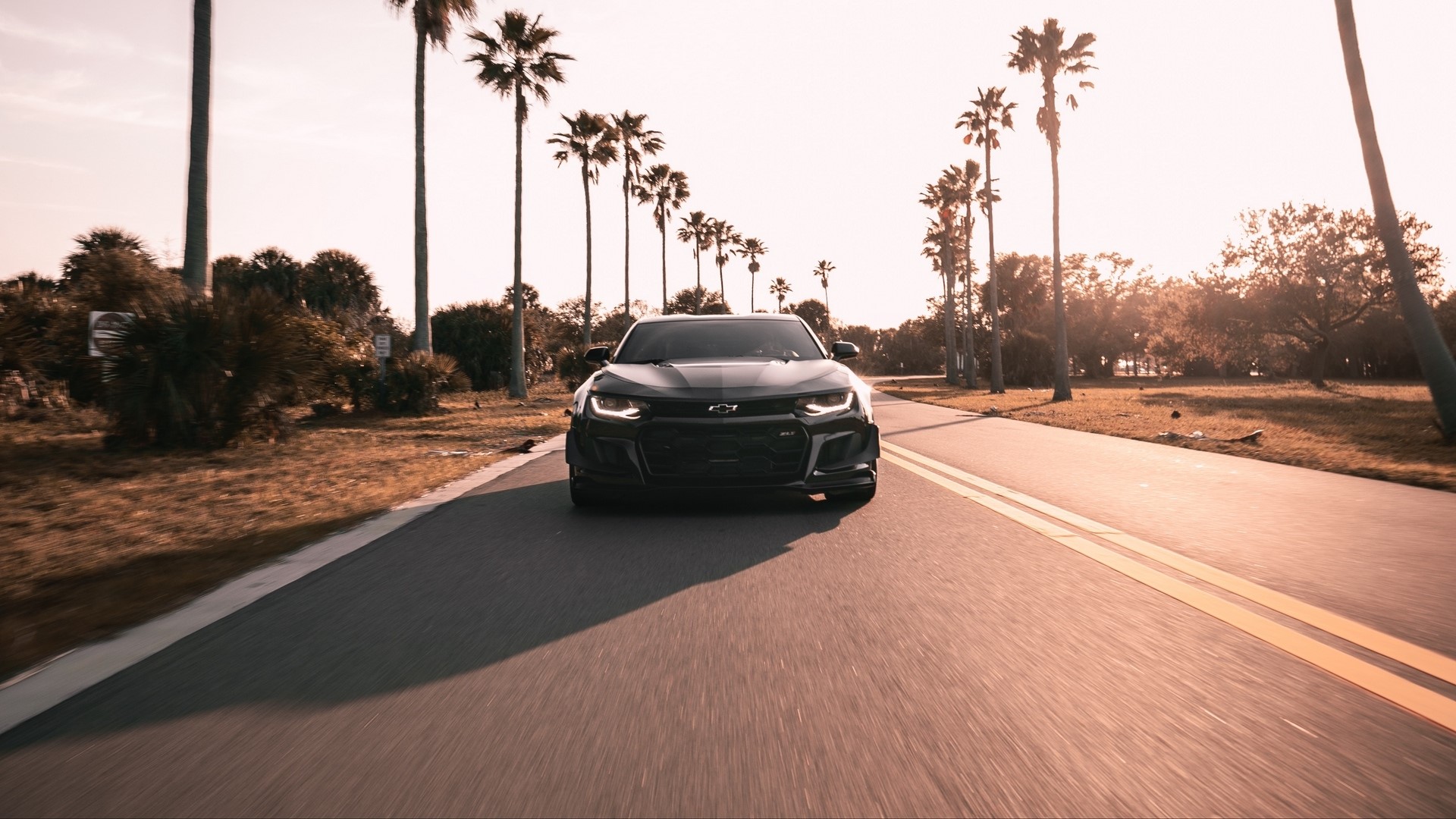 Black Chevrolet Camaro driving on a road with palm trees HD Wallpaper