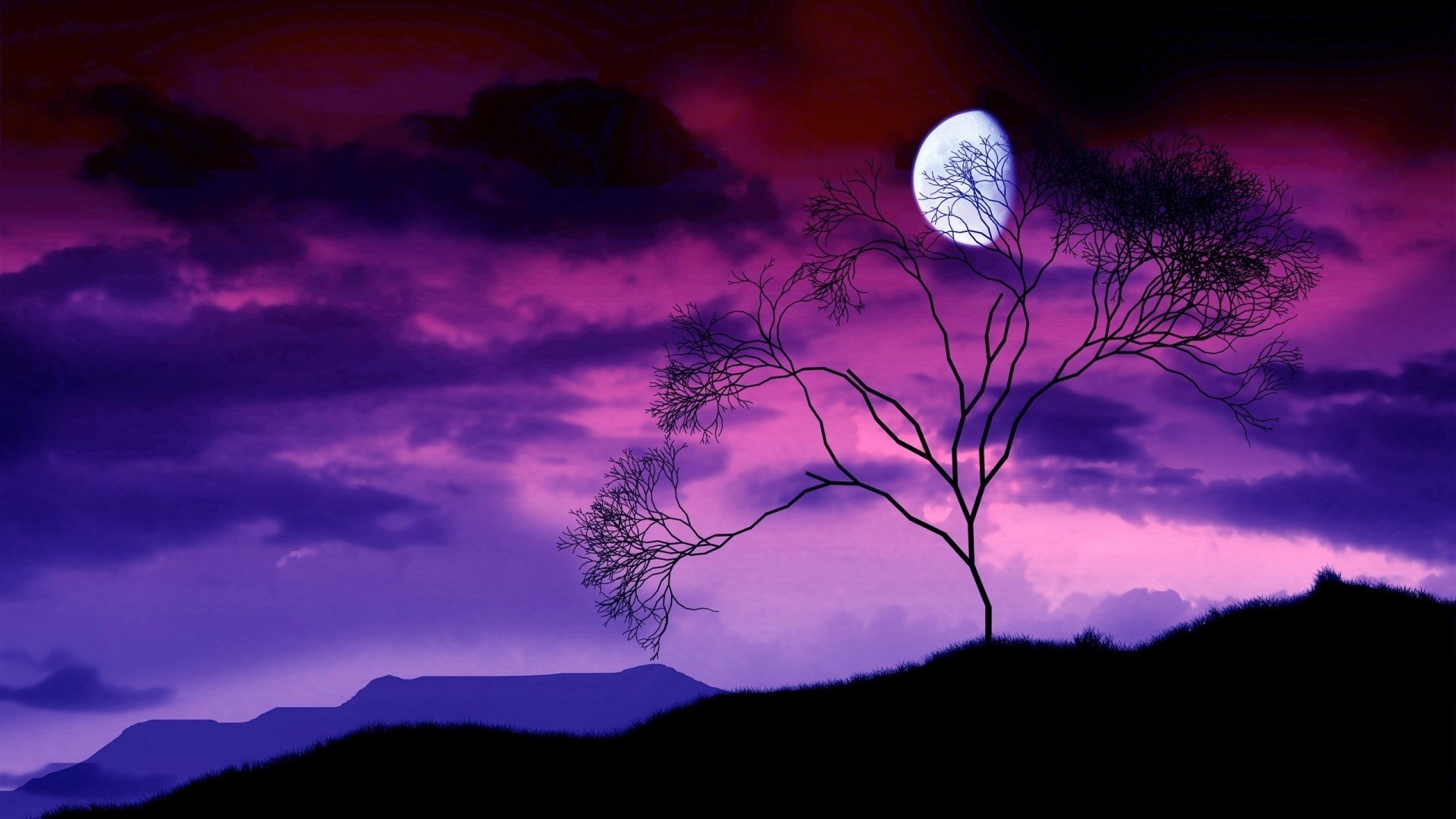 Silhouette of a tree against a purple moonlit sky HD Wallpaper