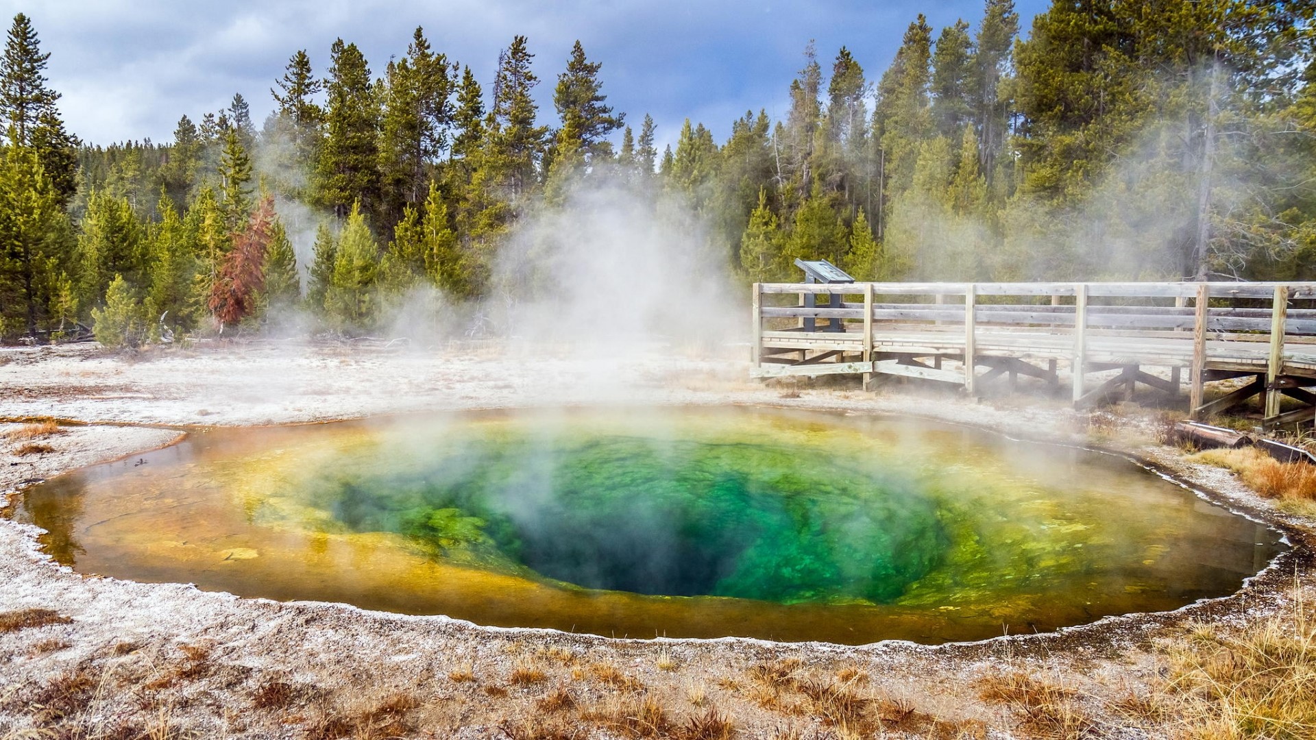 Morning Glory Pool in Yellowstone National Park HD Wallpaper