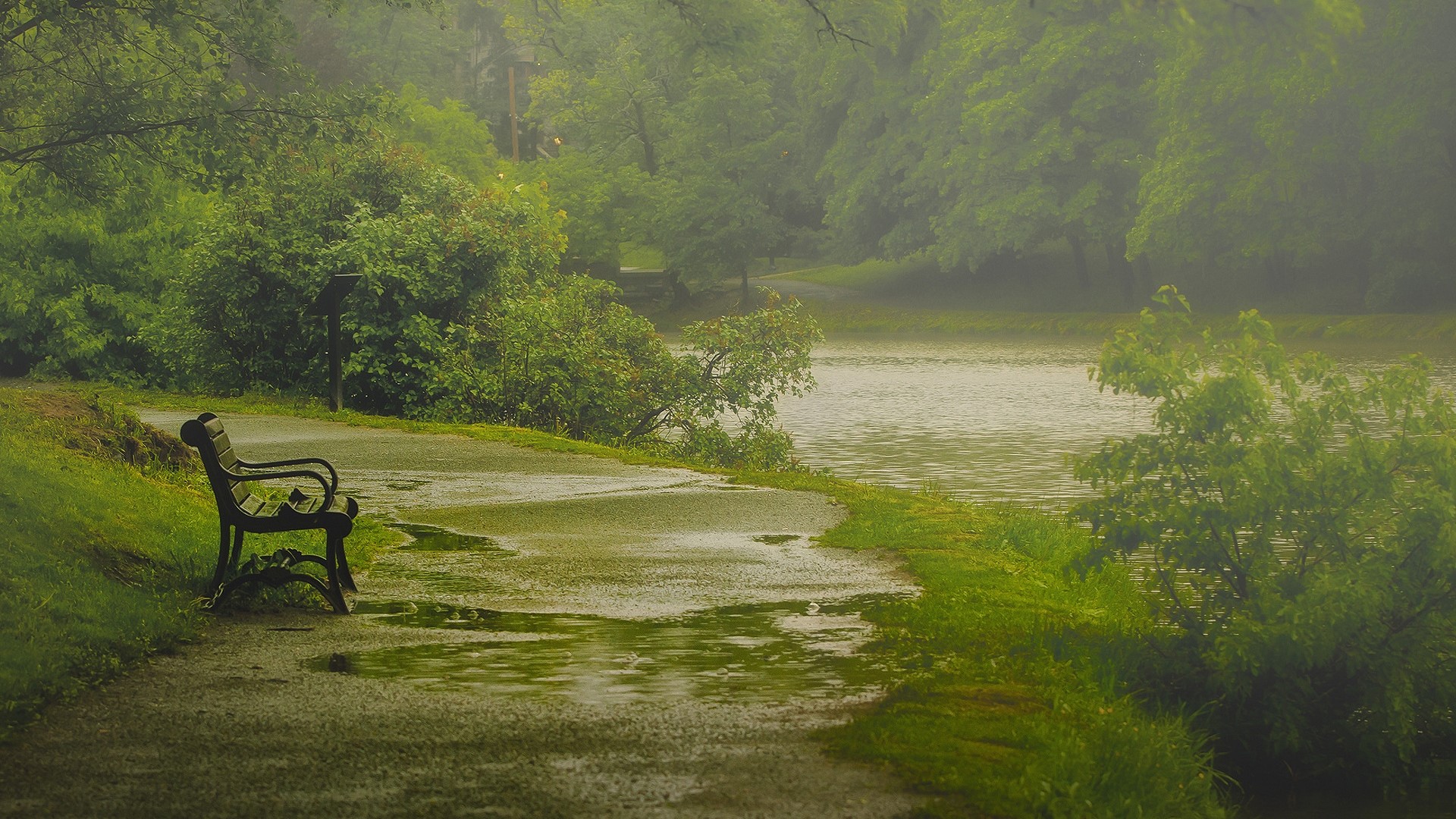 Bench by a misty river in a park HD Wallpaper