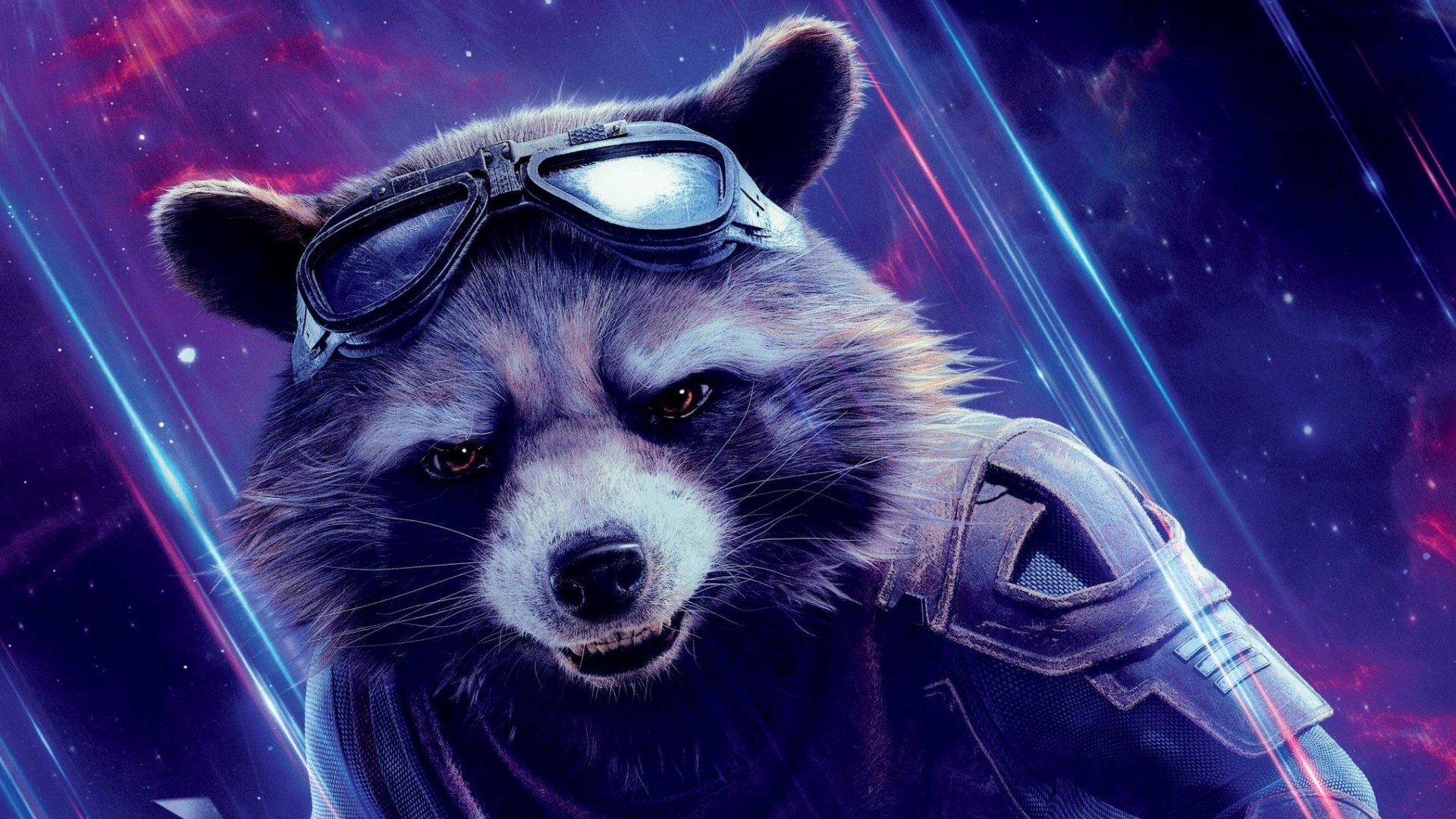 Rocket Raccoon from Avengers Endgame HD Wallpaper