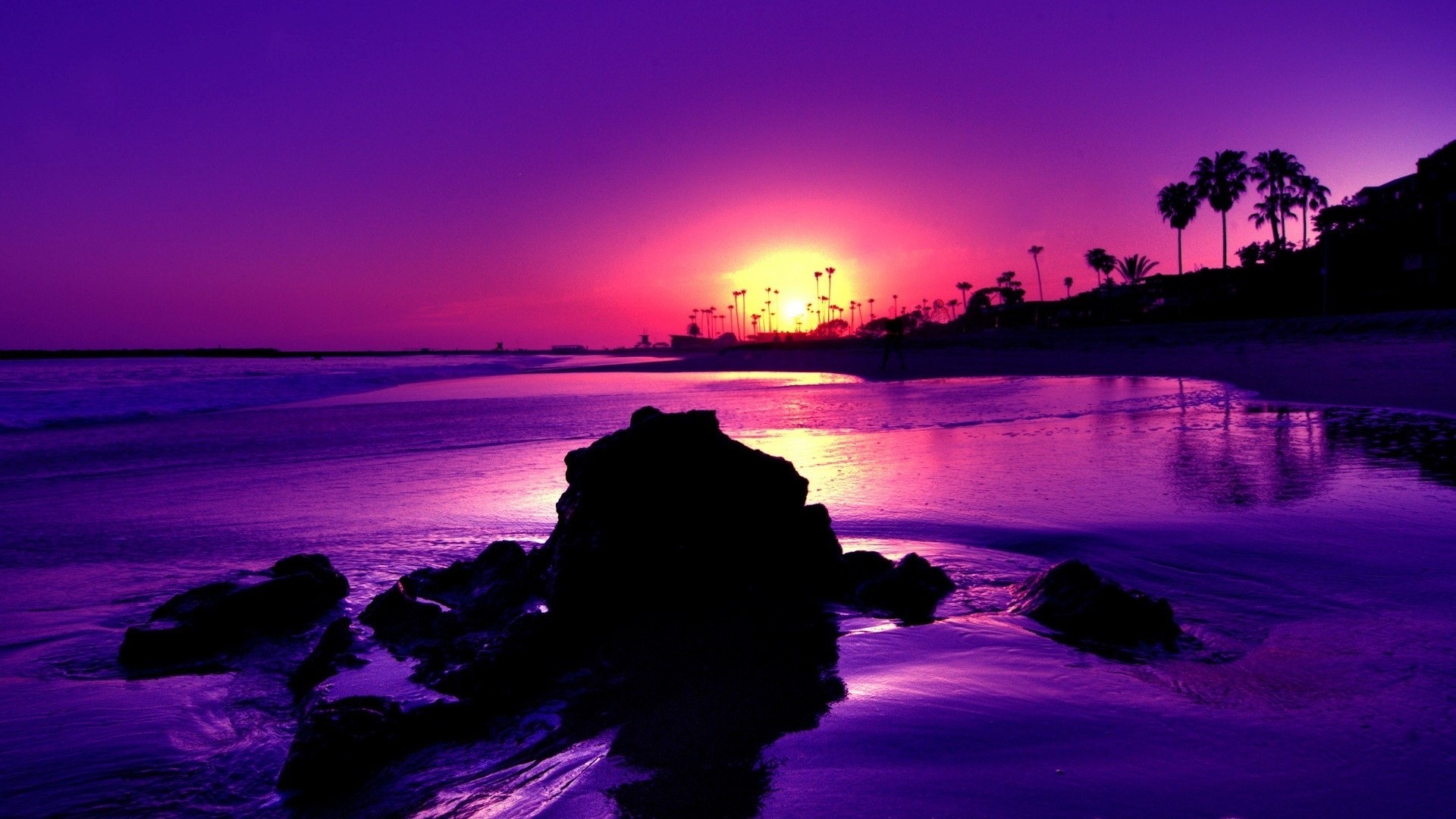 Purple sunset over a beach with palm trees HD Wallpaper