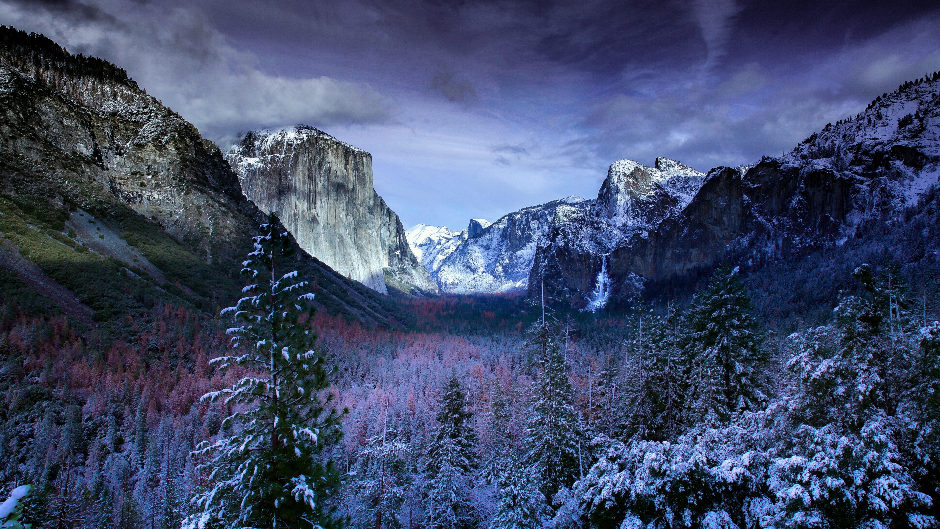 4K Snowy forest in Yosemite Valley HD Wallpaper