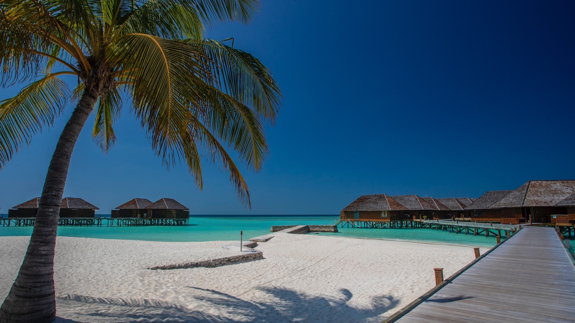 Overwater bungalows on a tropical beach HD Wallpaper