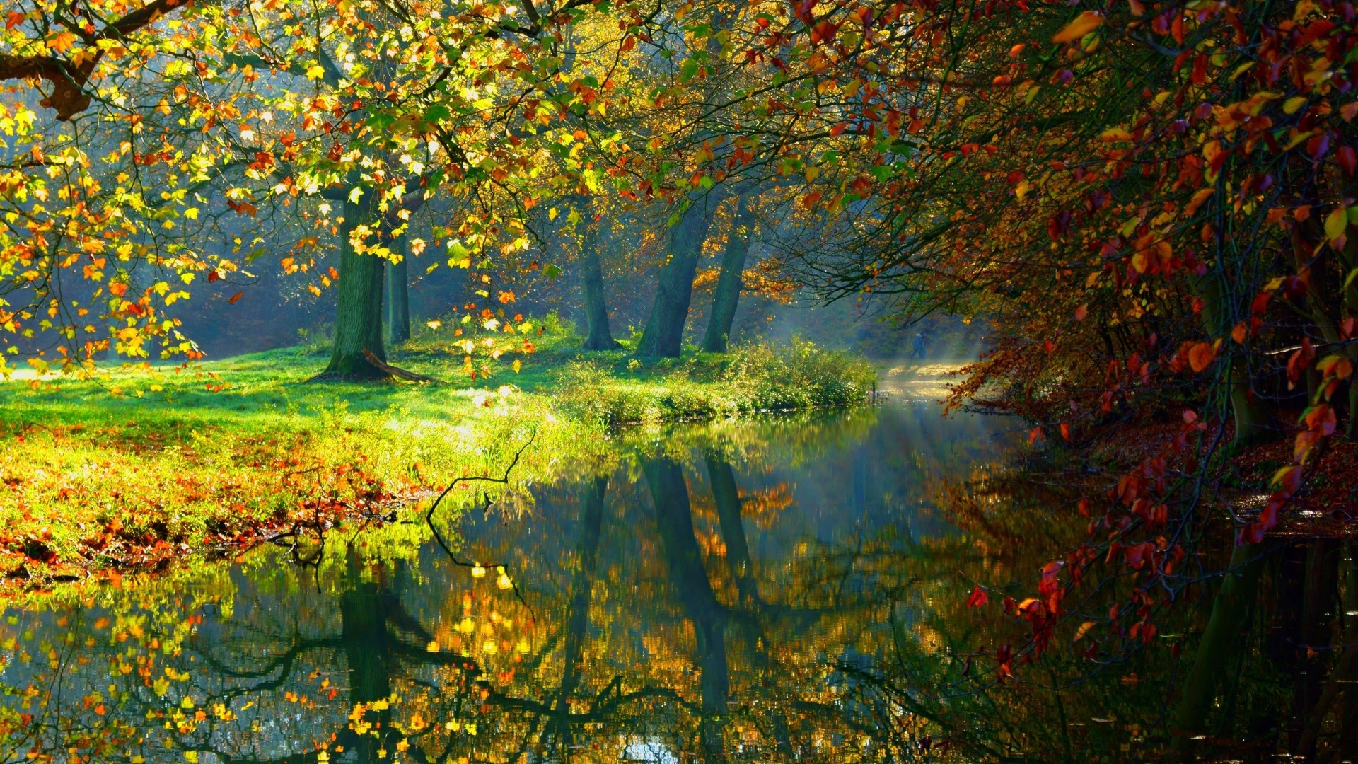 Autumn trees reflecting in a calm river HD Wallpaper