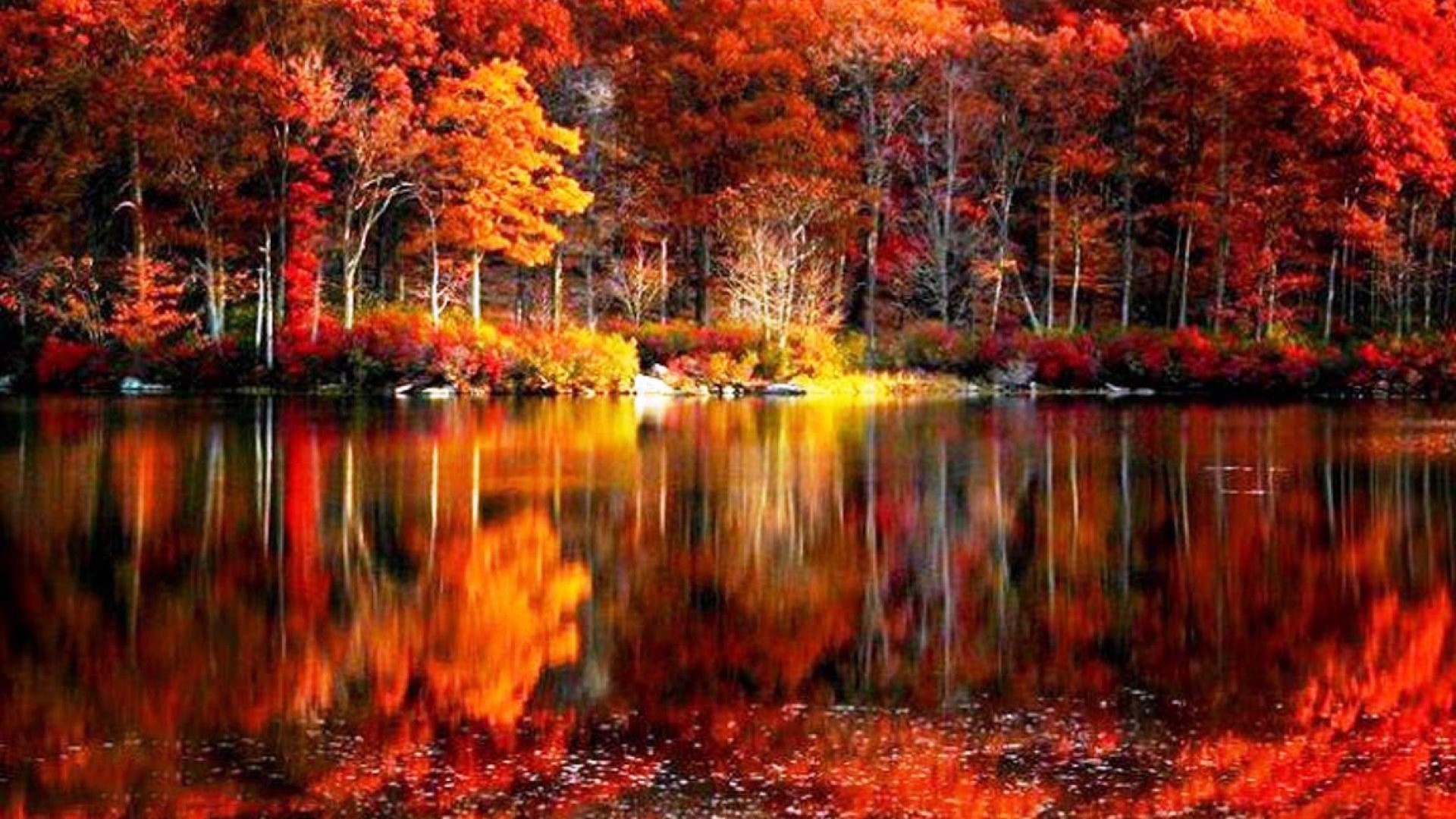 Autumn forest reflected in a lake HD Wallpaper