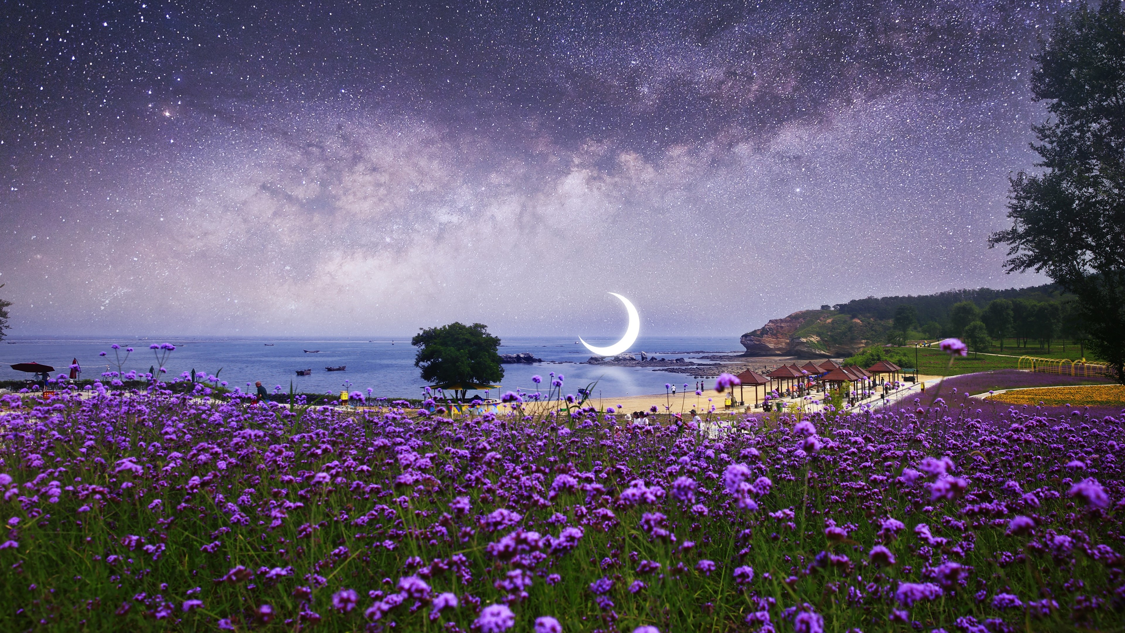 4K Surreal Night Sky Over Purple Flowers and Ocean HD Wallpaper