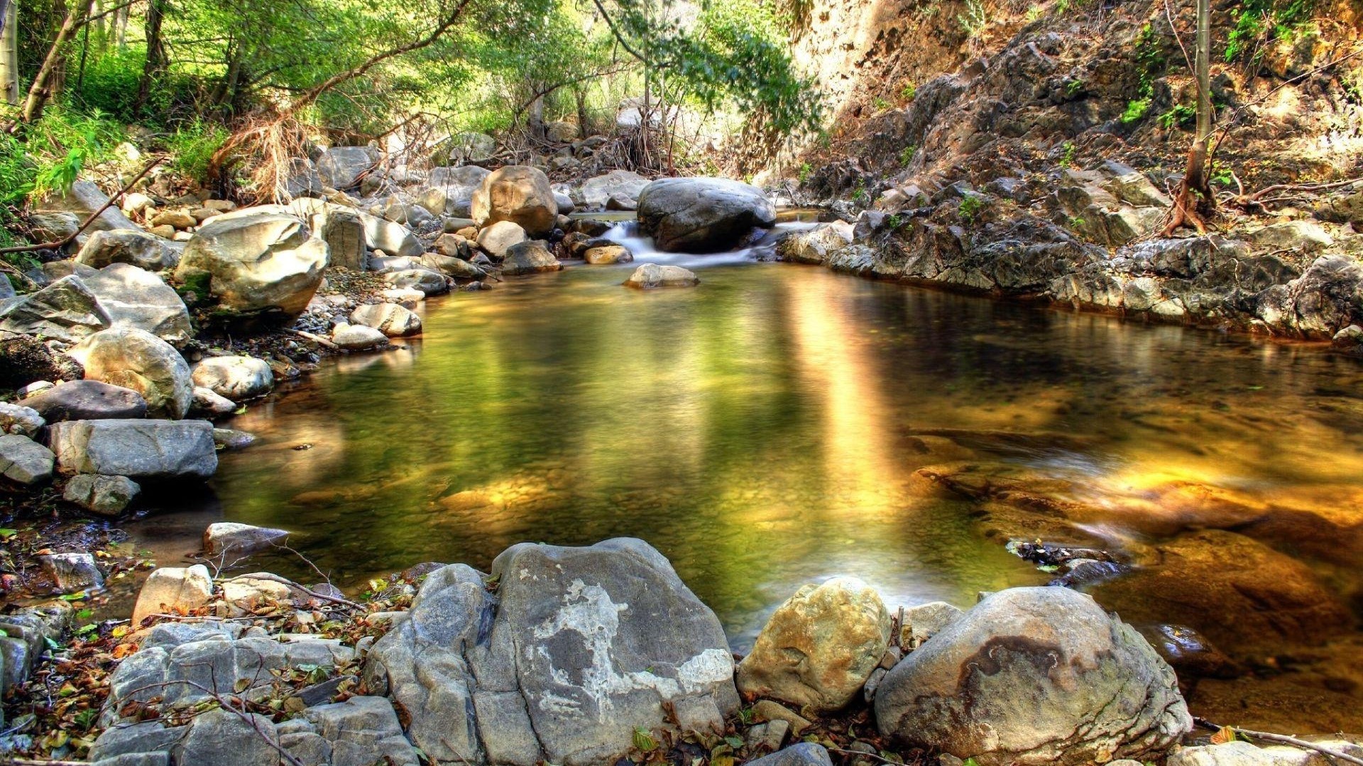 River flowing through a rocky forest HD Wallpaper
