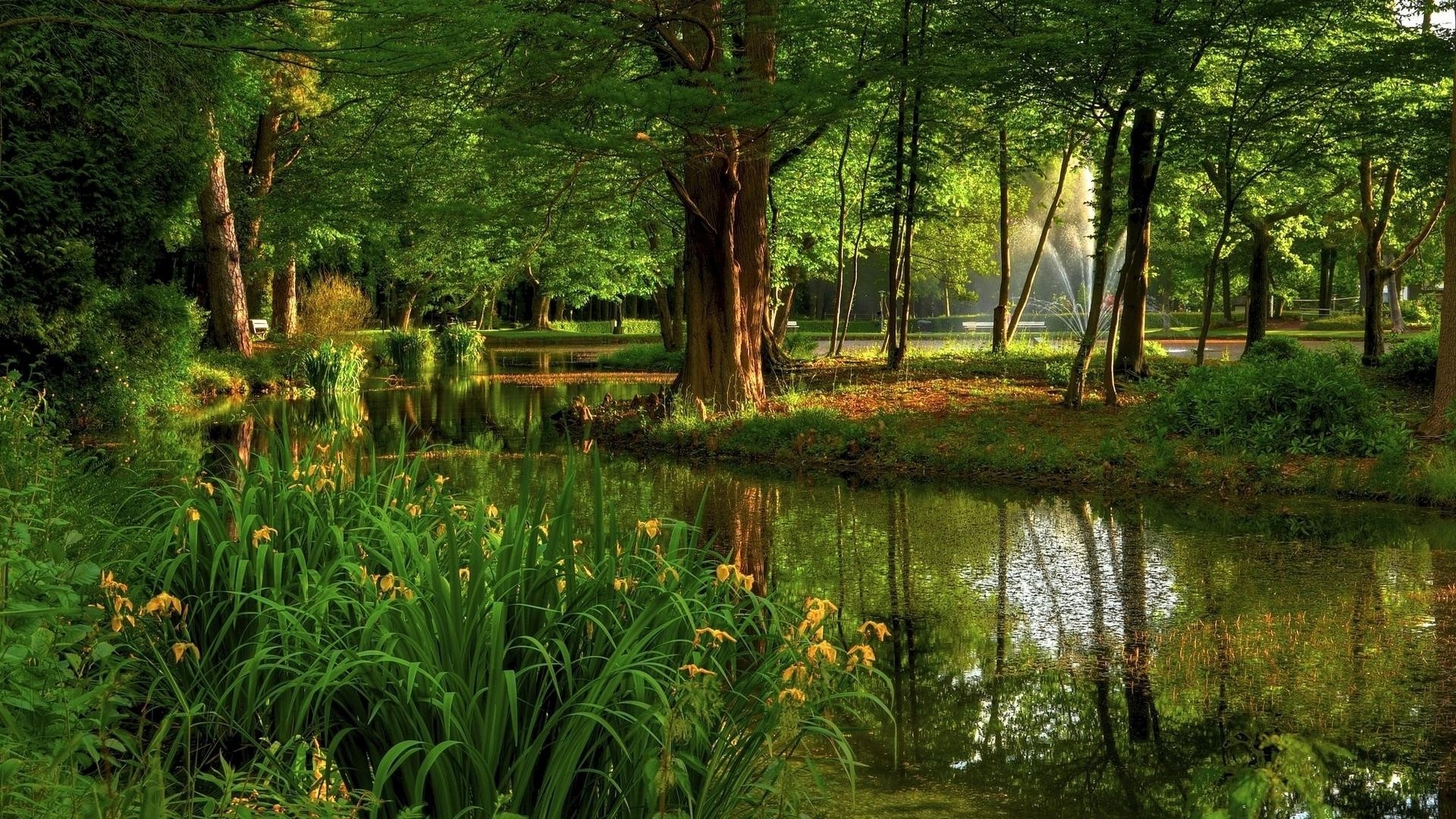 Park with a fountain and pond HD Wallpaper