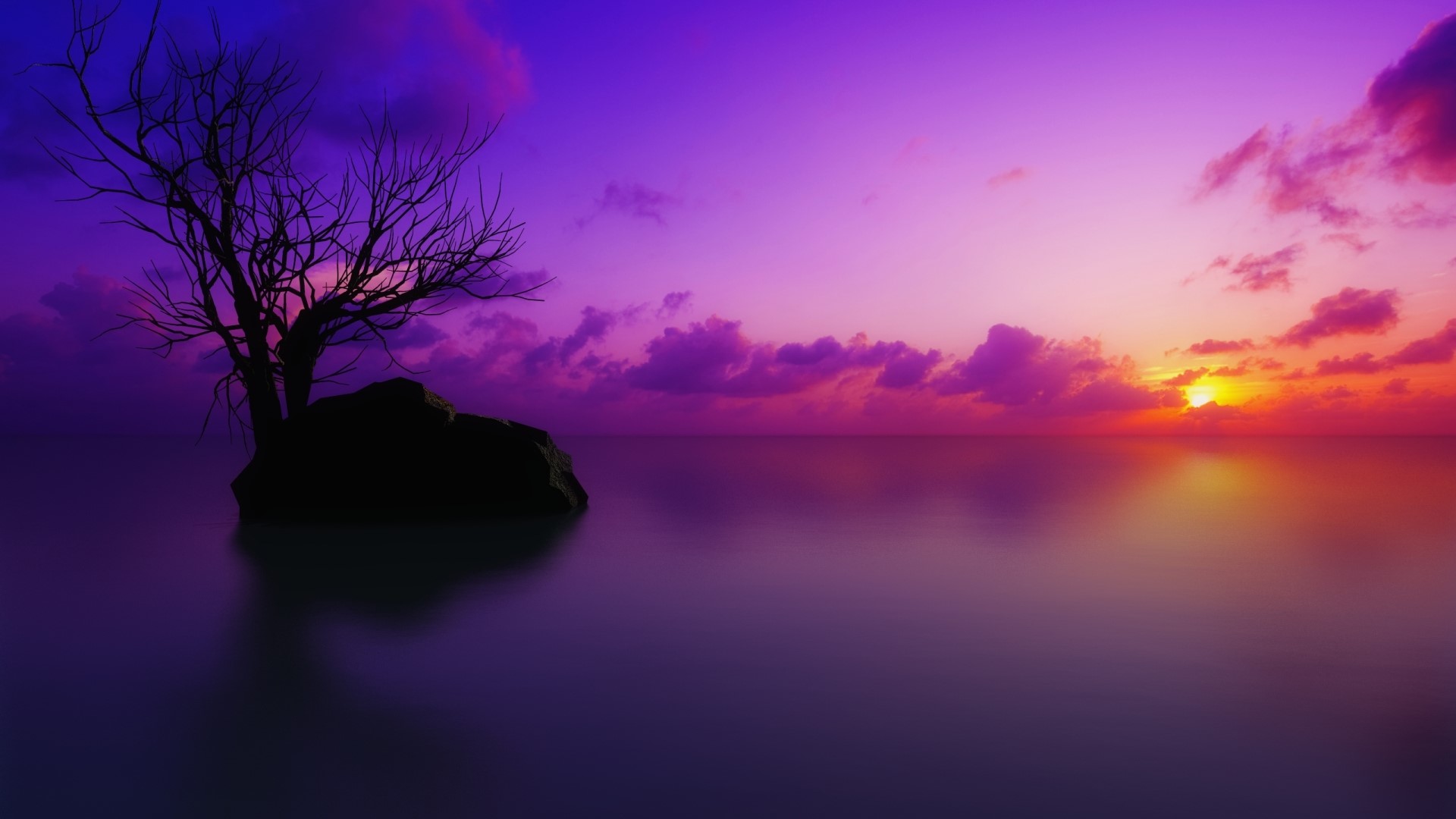 Indigo sunset over calm water with a bare tree on a rock HD Wallpaper