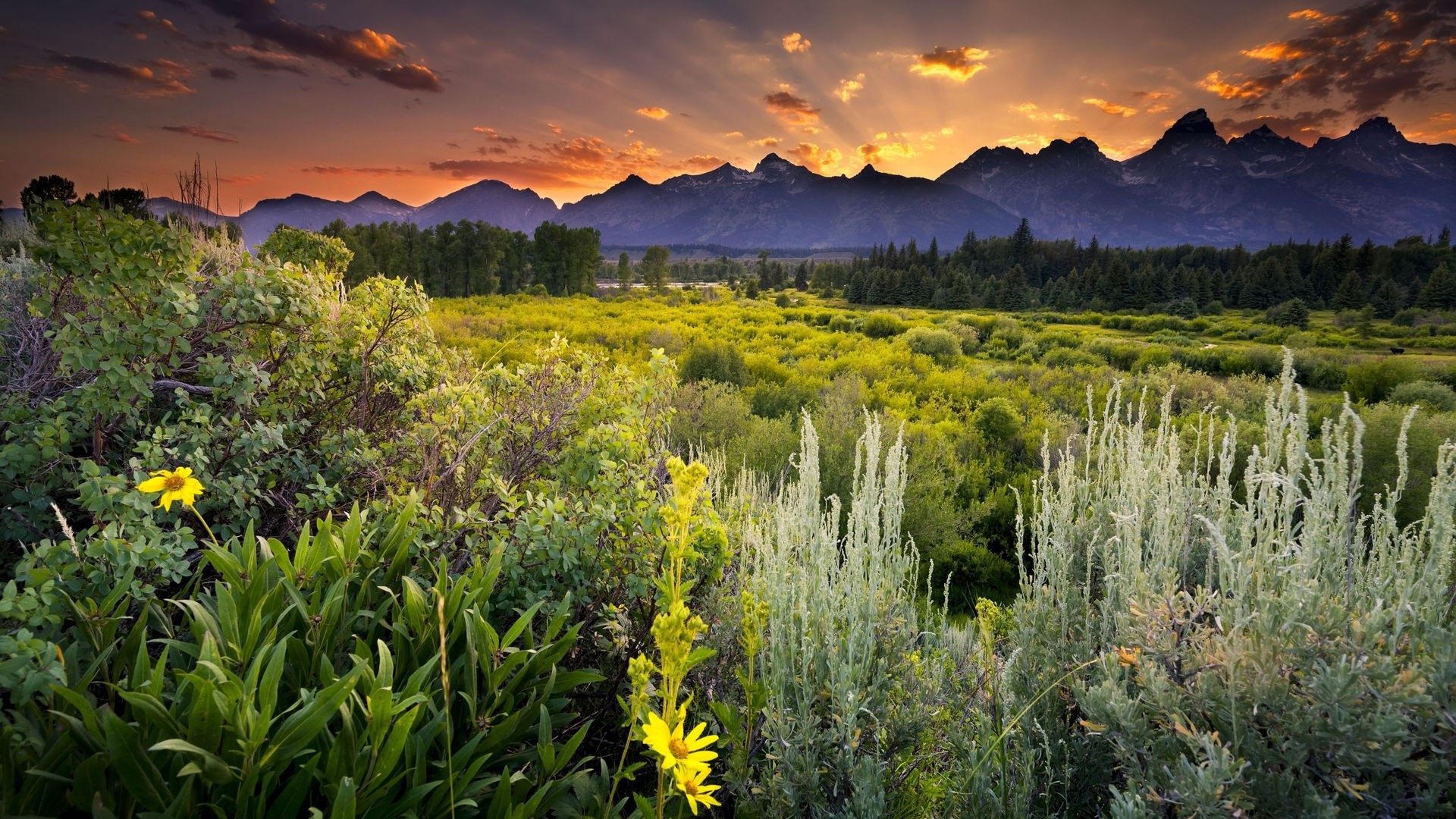 Mountain range at sunset with meadow HD Wallpaper