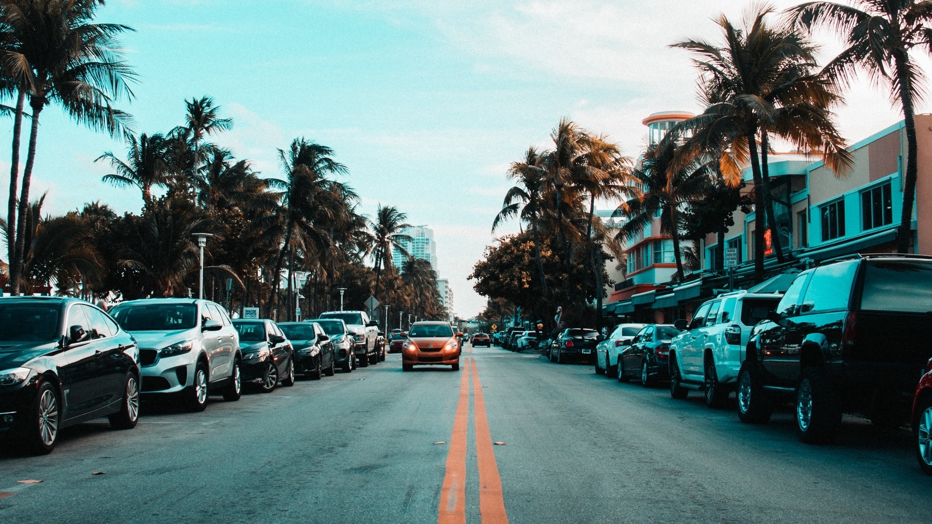 Street lined with cars and palm trees HD Wallpaper