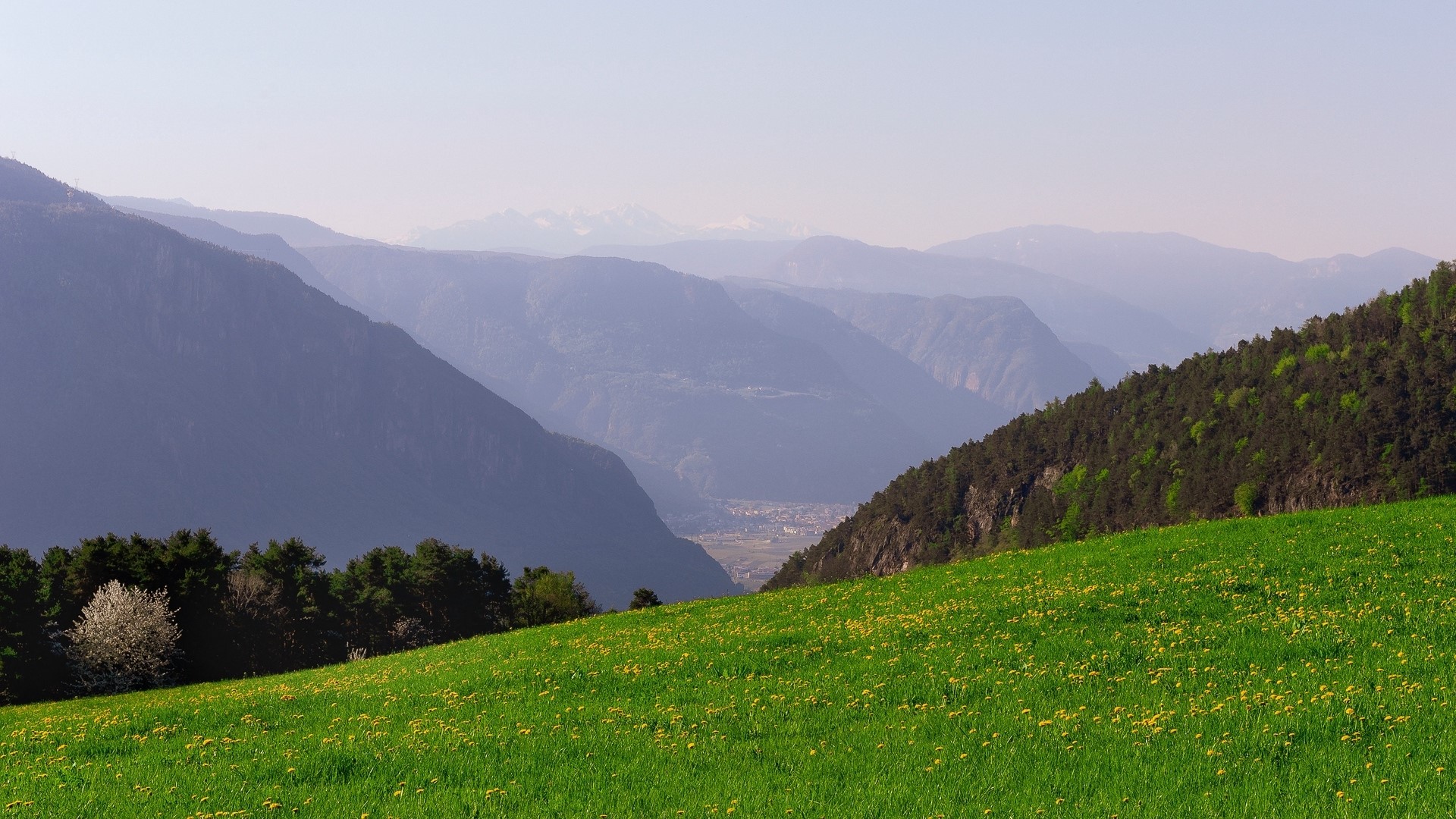 Green Meadow and Mountains HD Wallpaper